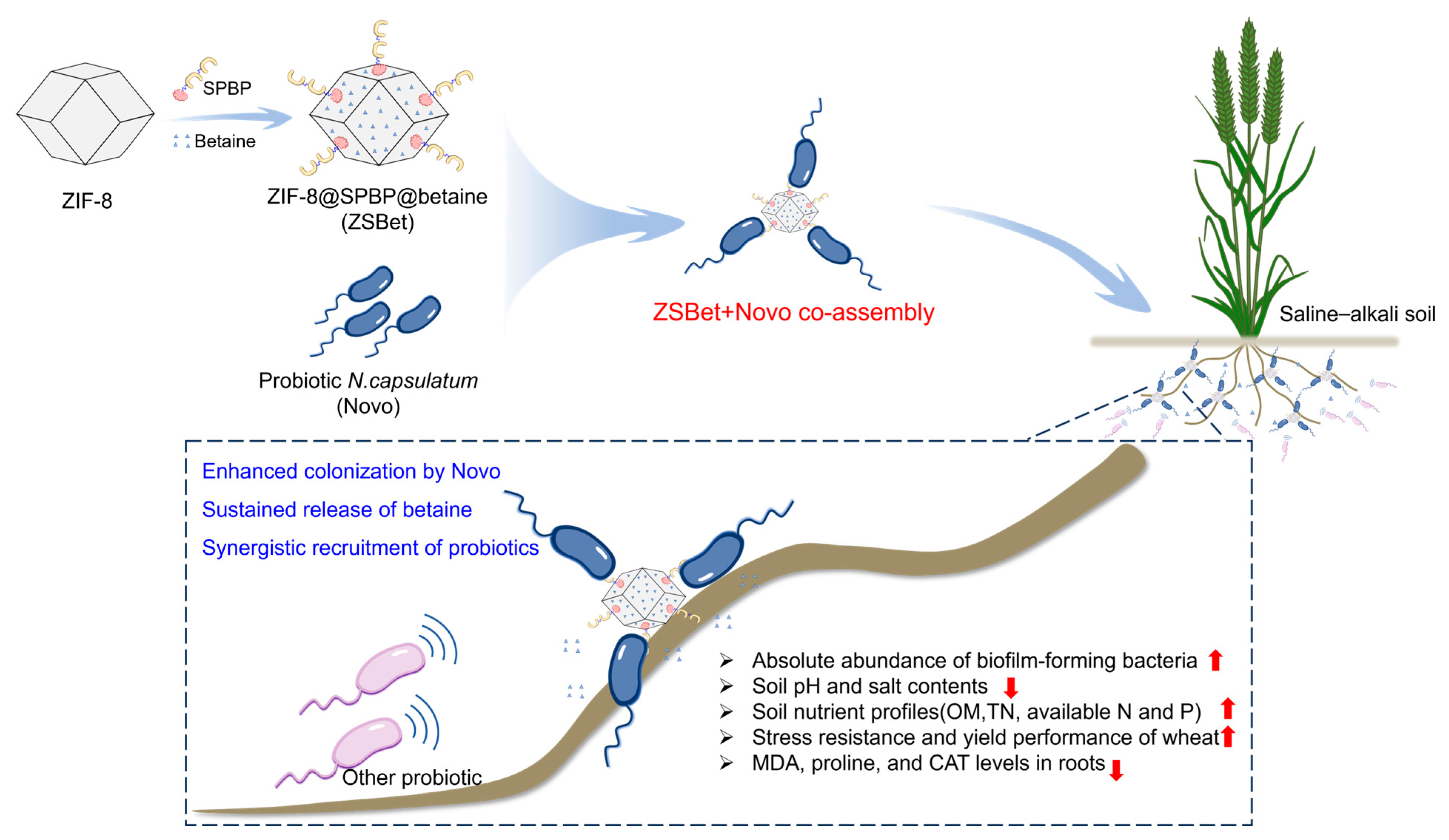 Molecules 30 03669 g006