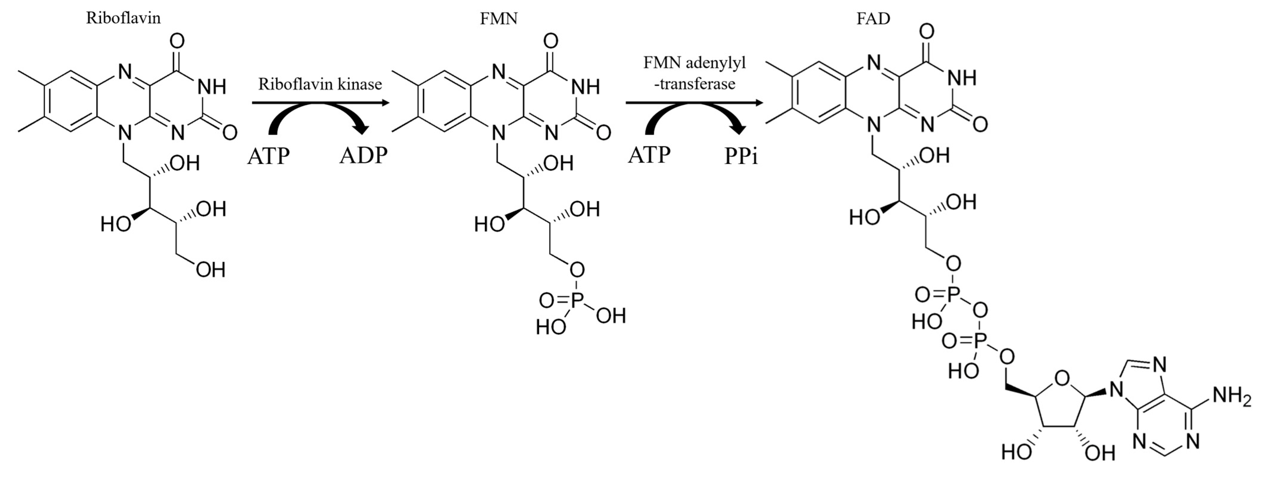 Molecules 30 03673 sch001 Molecules 30 03673 sch001