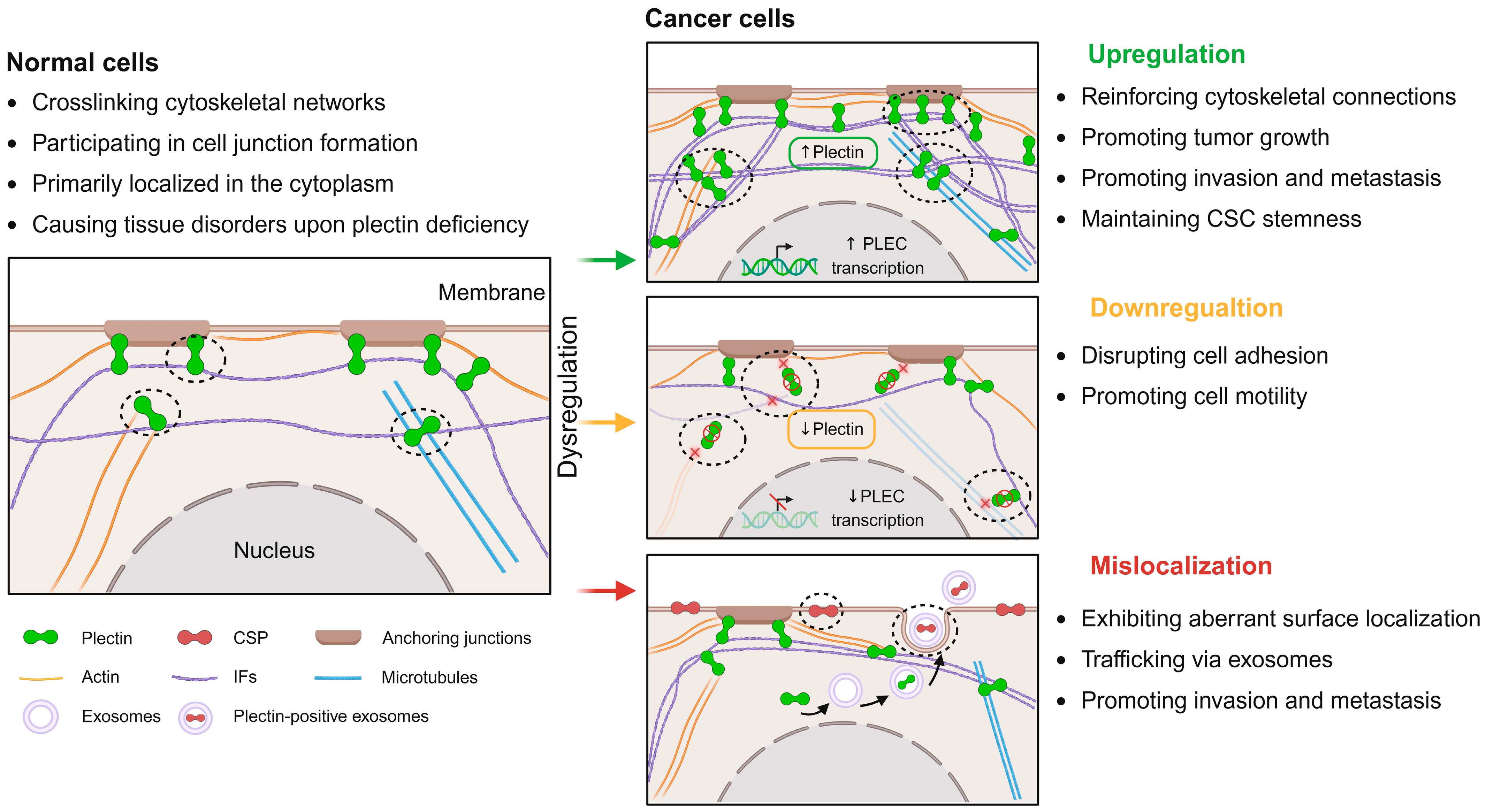 Molecules 30 03675 g001 Molecules 30 03675 g001