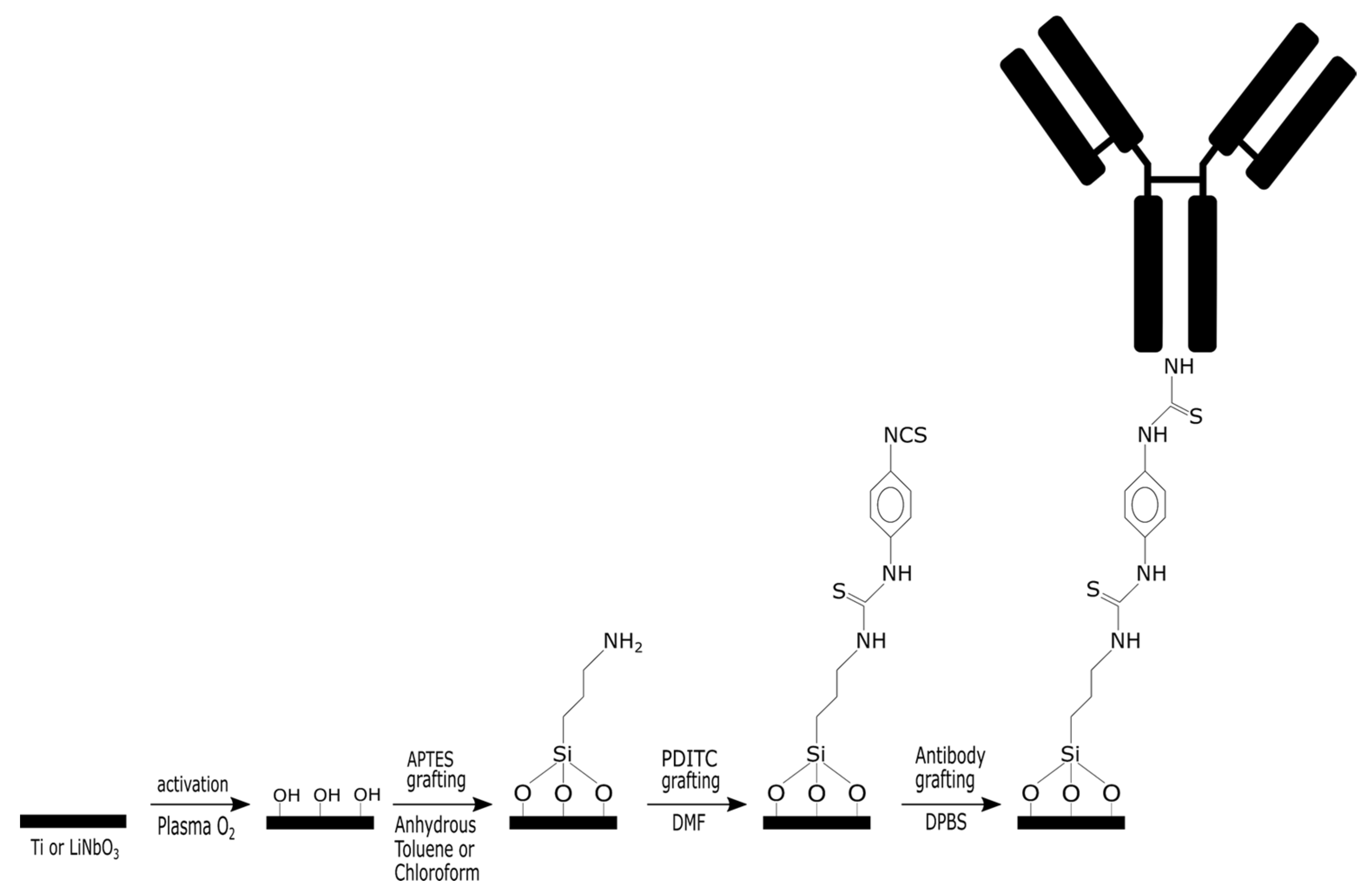 Molecules 30 03681 g001