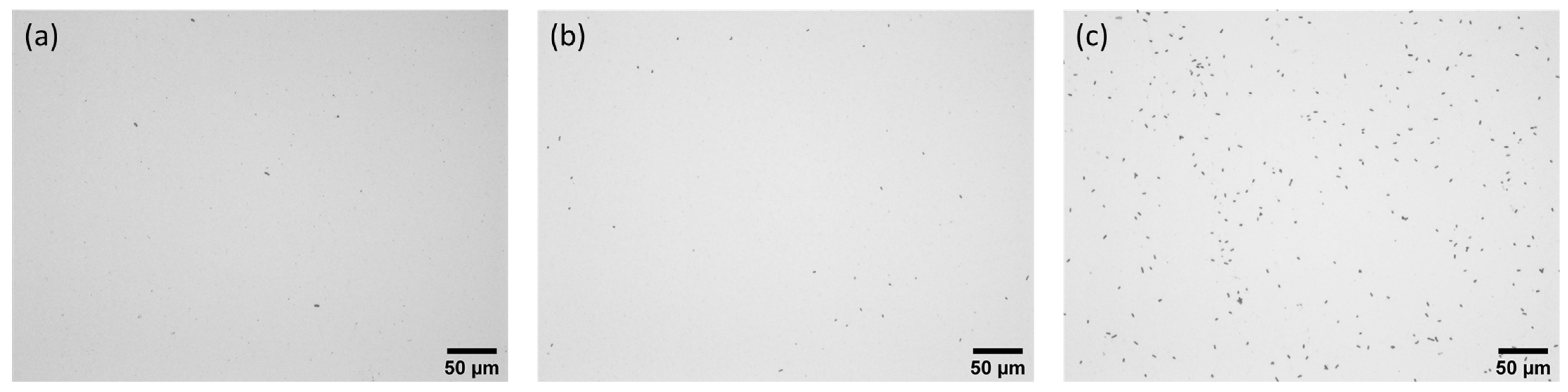 Molecules 30 03681 g005