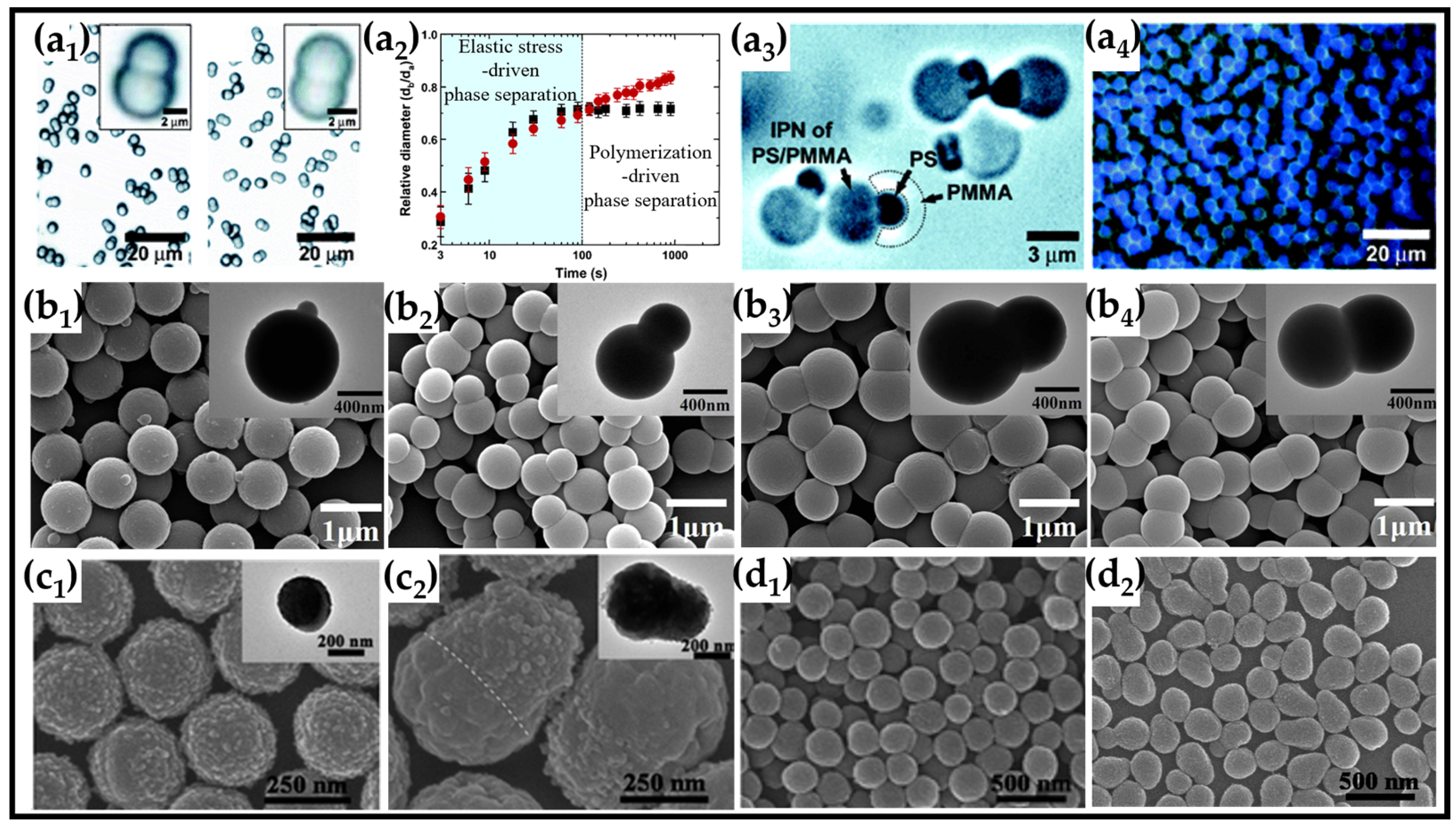 Molecules 30 03691 g002 Molecules 30 03691 g002