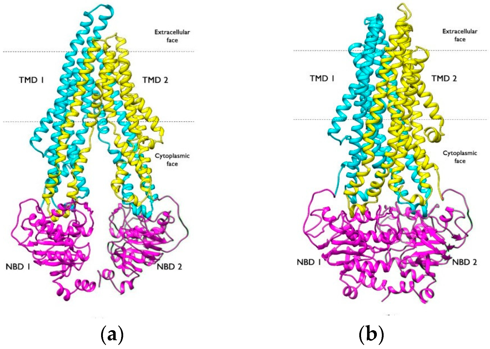 Molecules 30 03696 g002