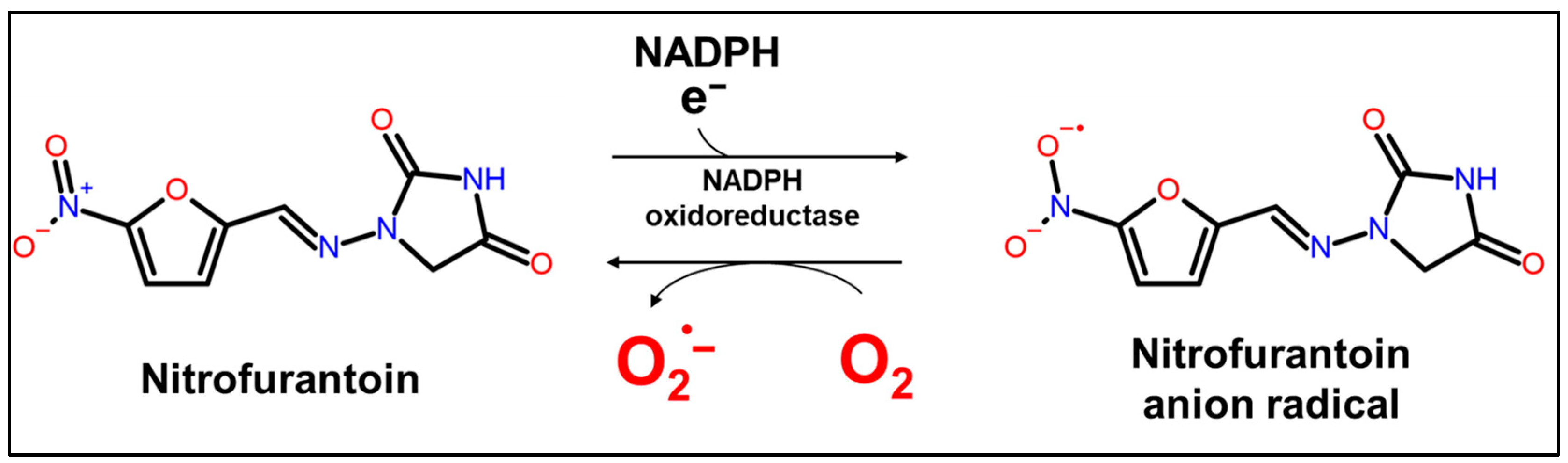 Molecules 30 03698 g001