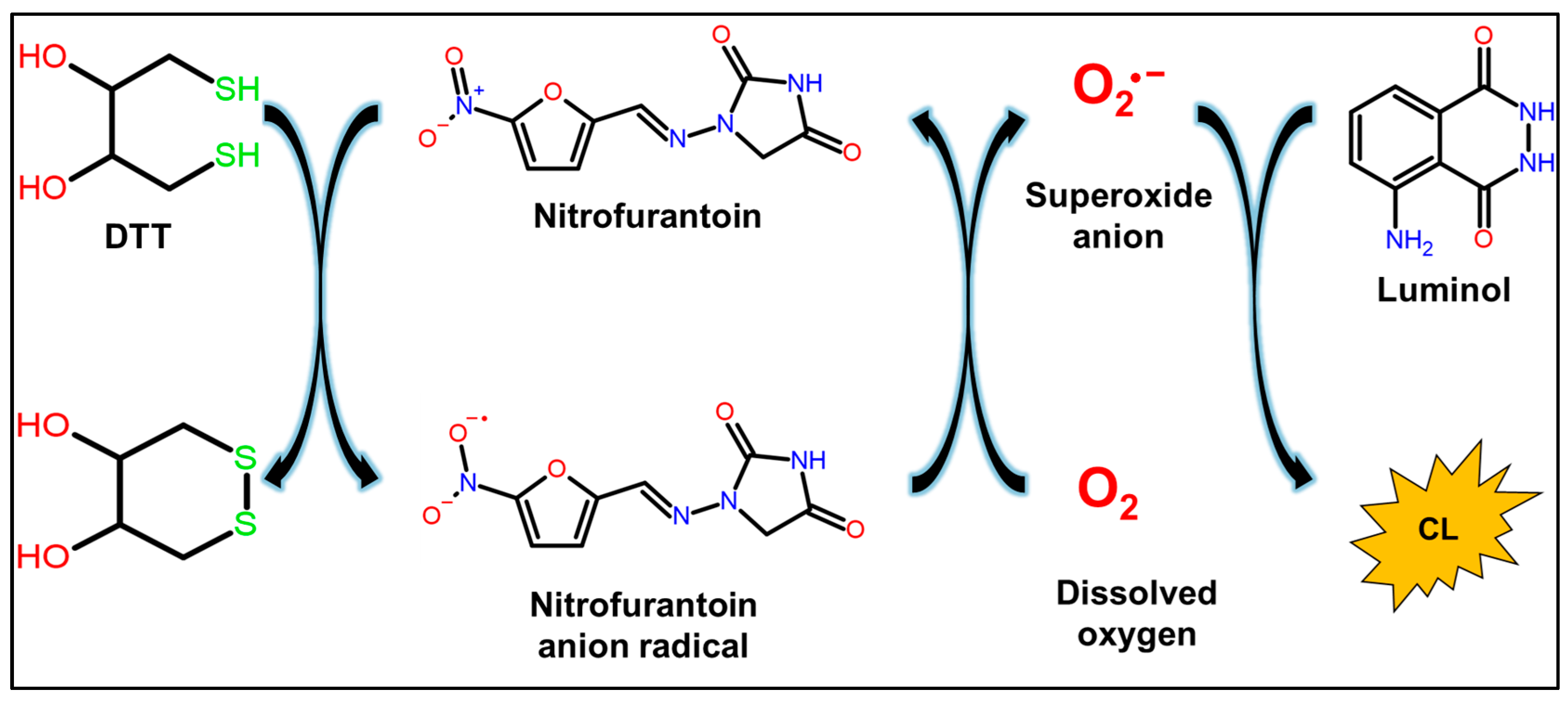 Molecules 30 03698 g002