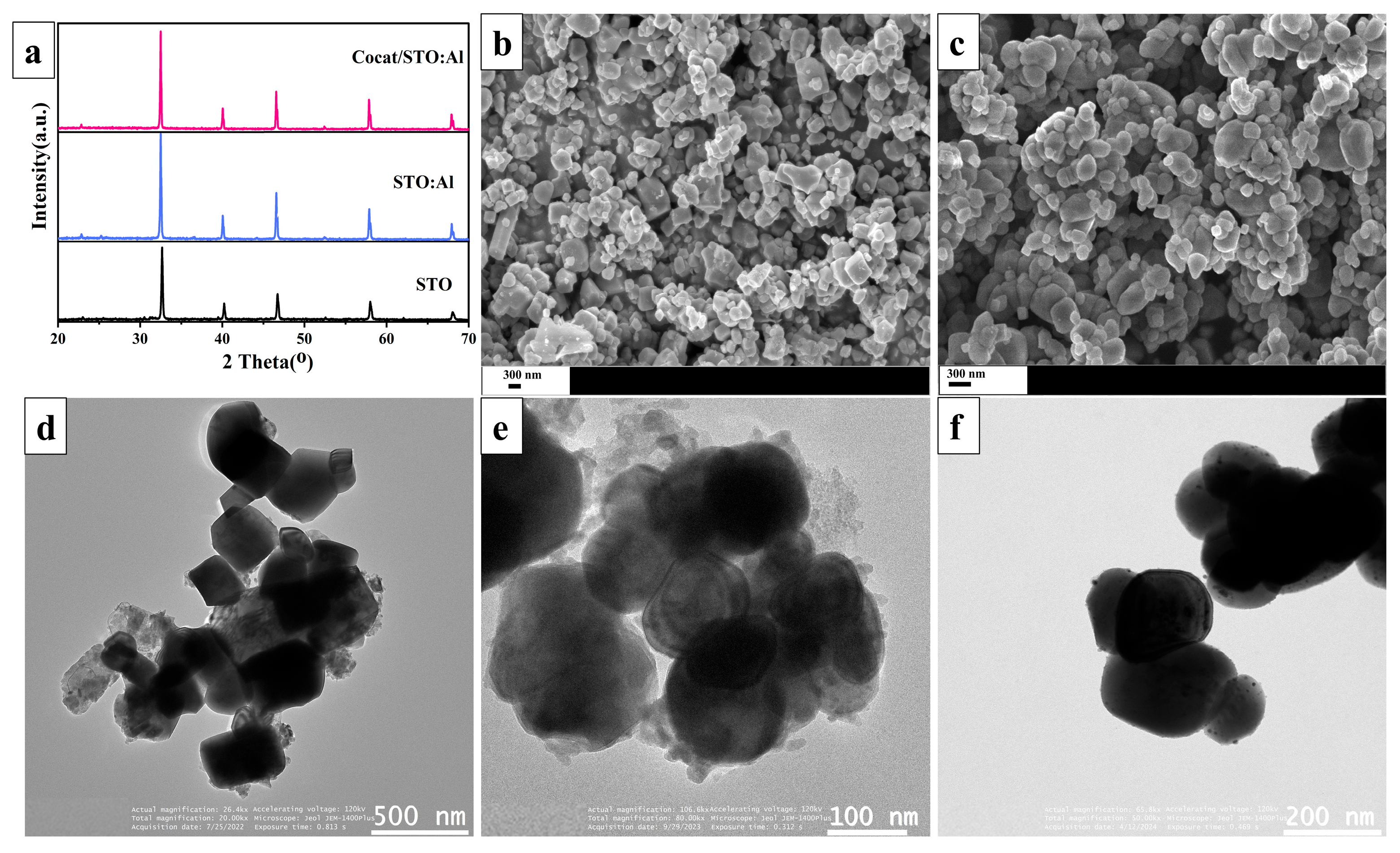 Molecules 30 03699 g001 Molecules 30 03699 g001