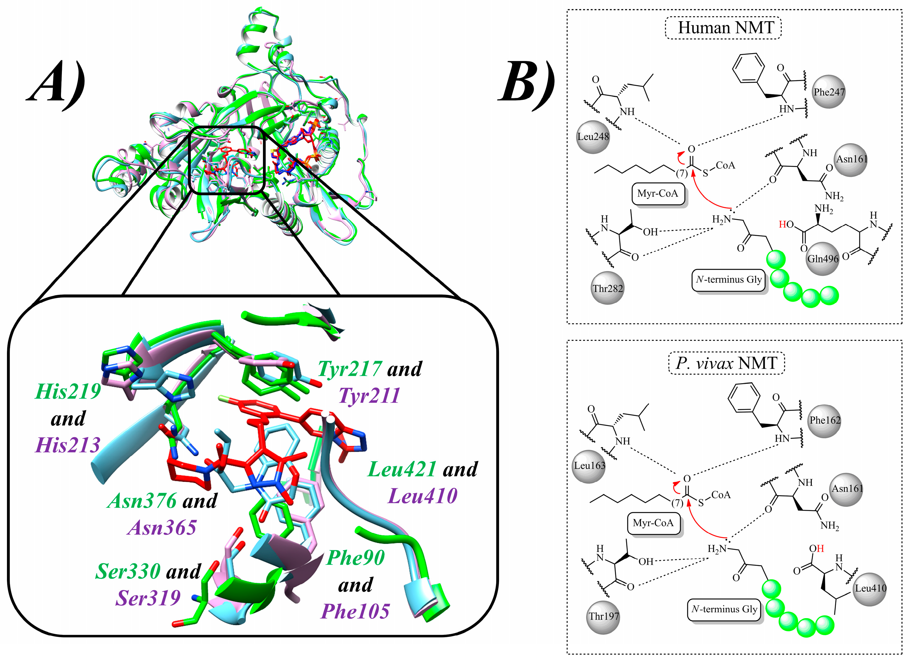 Molecules 30 03703 g001 Molecules 30 03703 g001