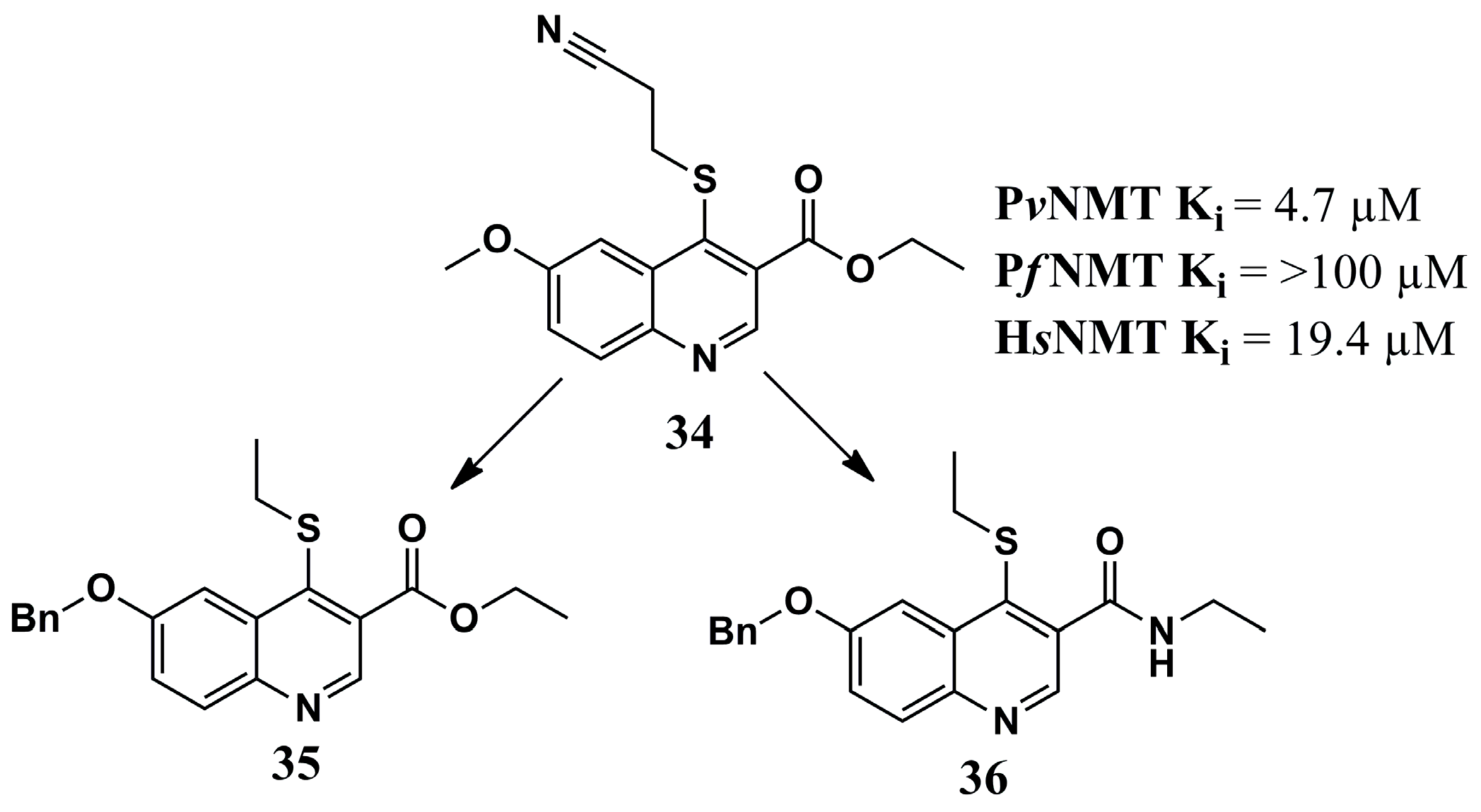 Molecules 30 03703 g012 Molecules 30 03703 g012