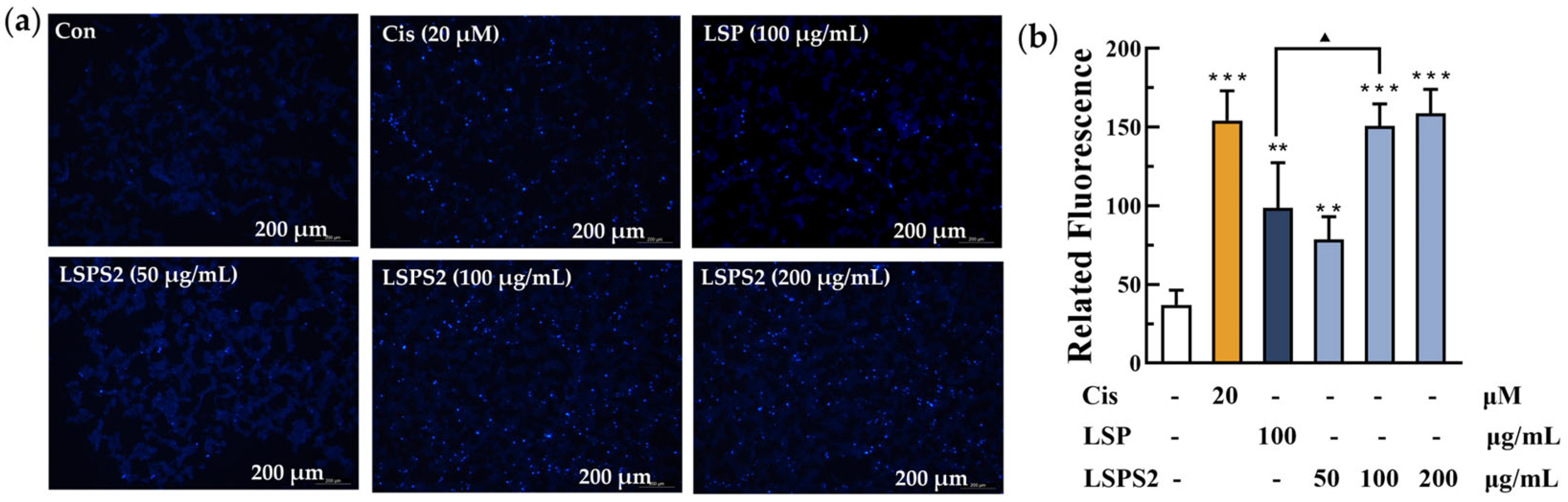 Molecules 30 03706 g007 Molecules 30 03706 g007