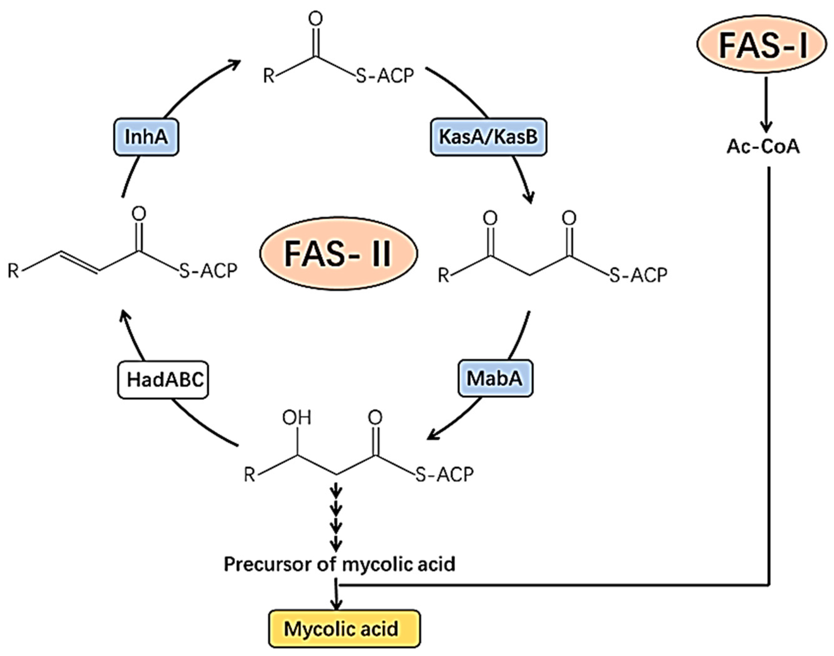 Molecules 30 03708 g001