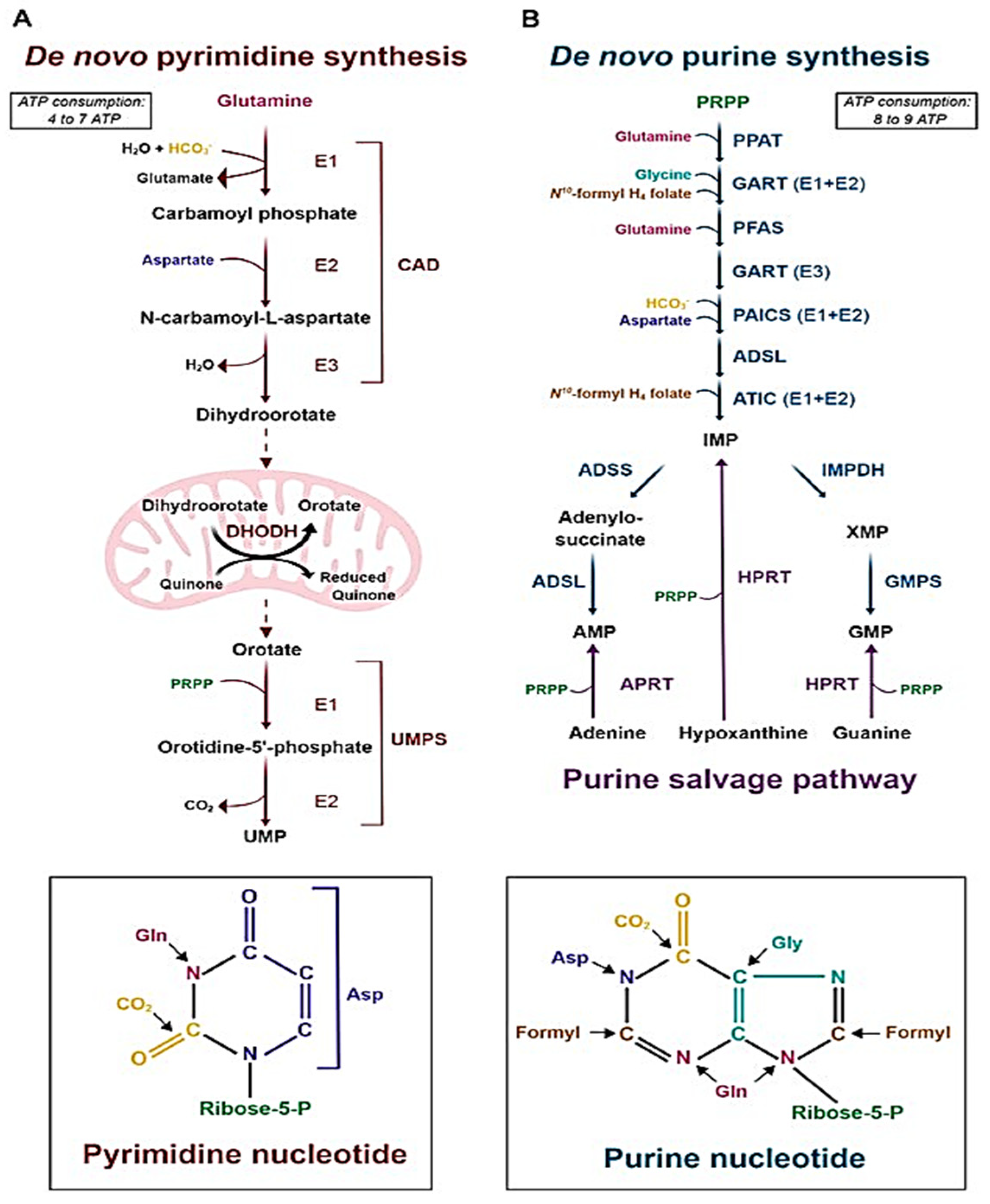 Molecules 30 03708 g002
