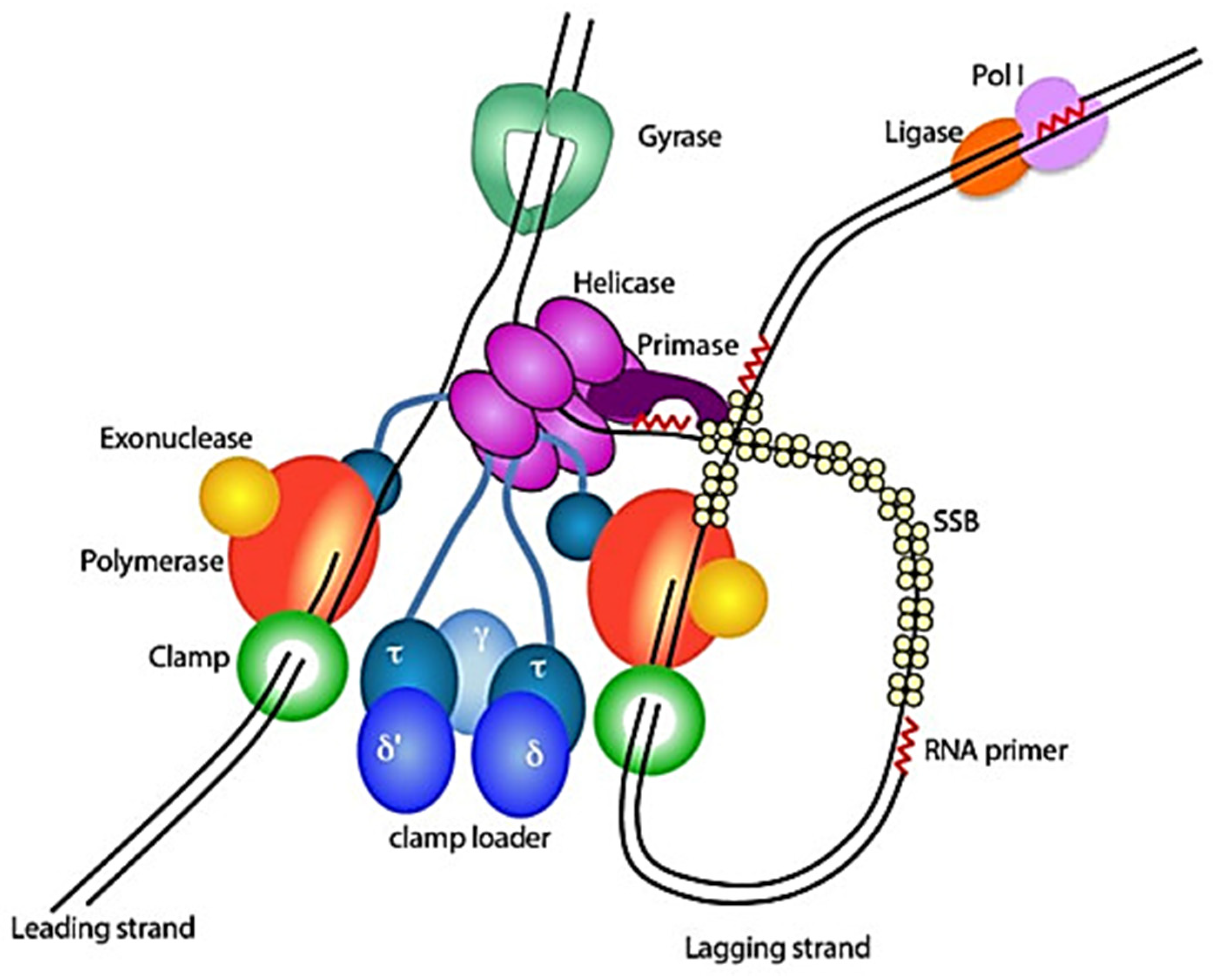 Molecules 30 03708 g003