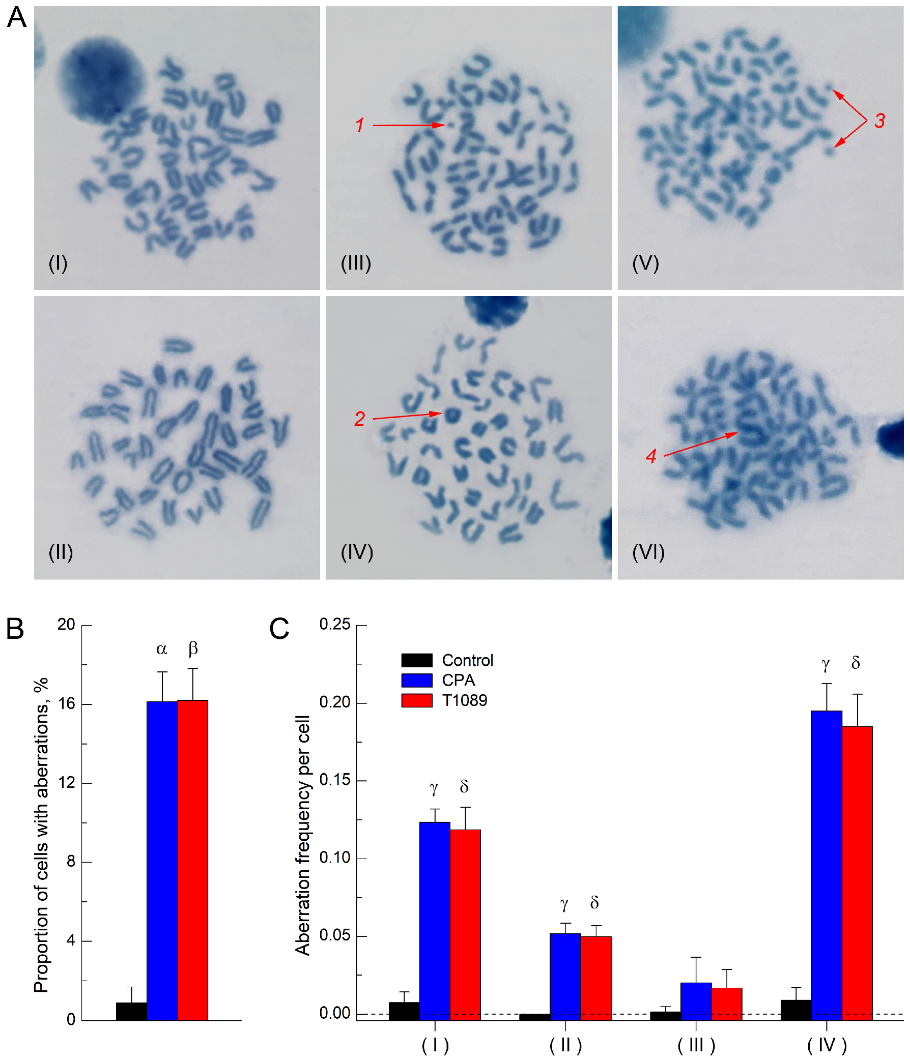 Molecules 30 03710 g005 Molecules 30 03710 g005