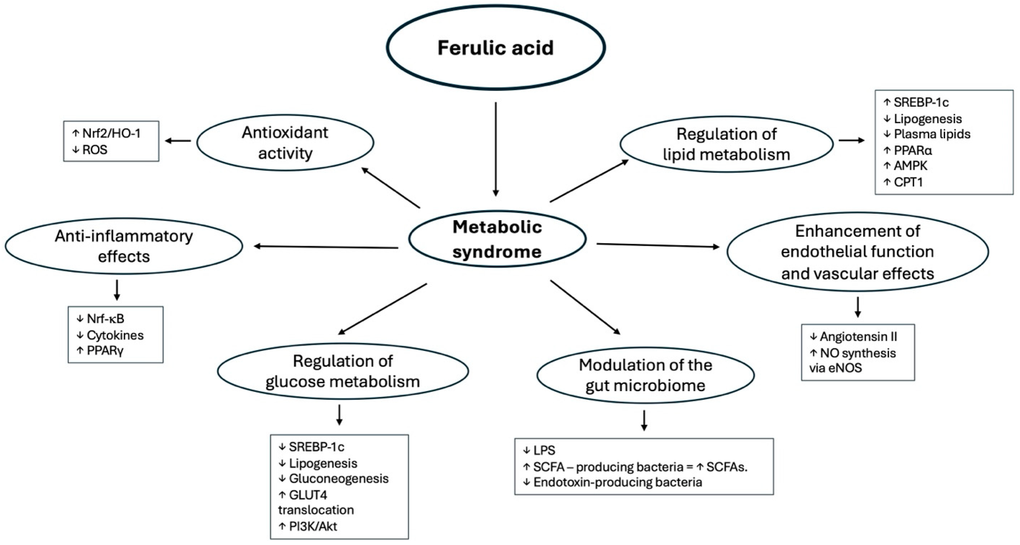 Molecules 30 03716 g003 Molecules 30 03716 g003
