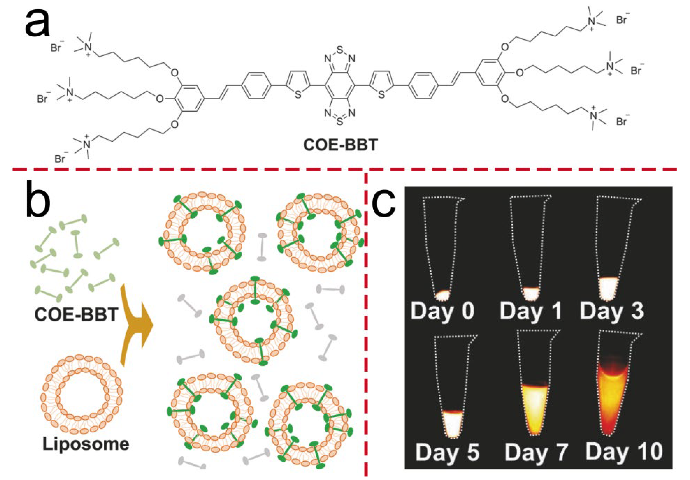 Molecules 30 03719 g002 Molecules 30 03719 g002
