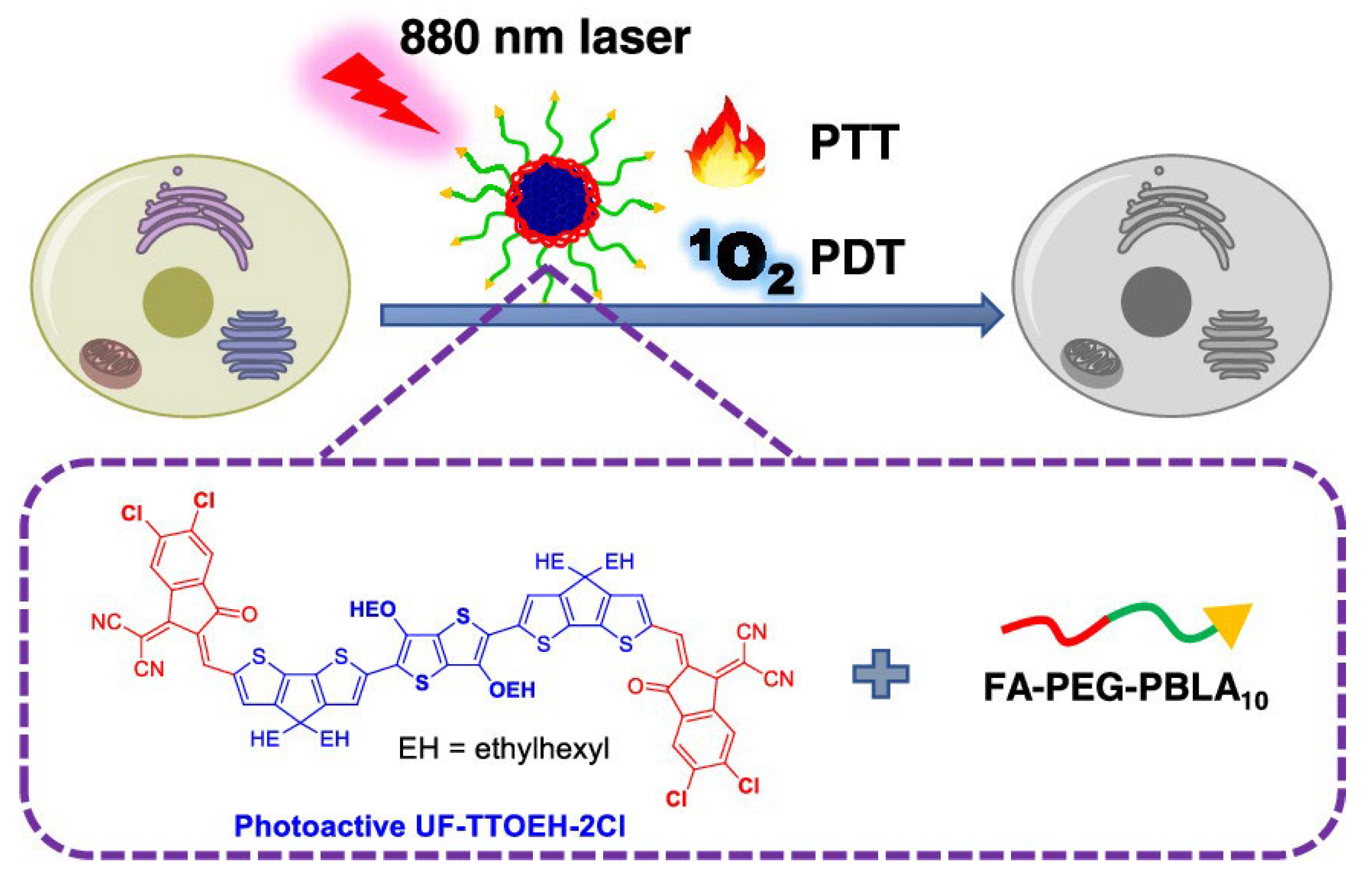 Molecules 30 03719 g005 Molecules 30 03719 g005