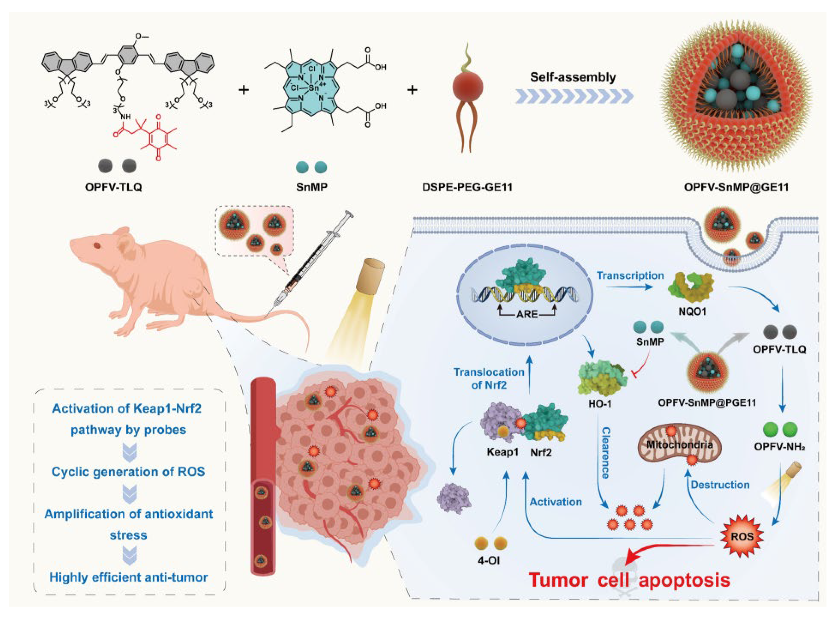 Molecules 30 03719 g006 Molecules 30 03719 g006