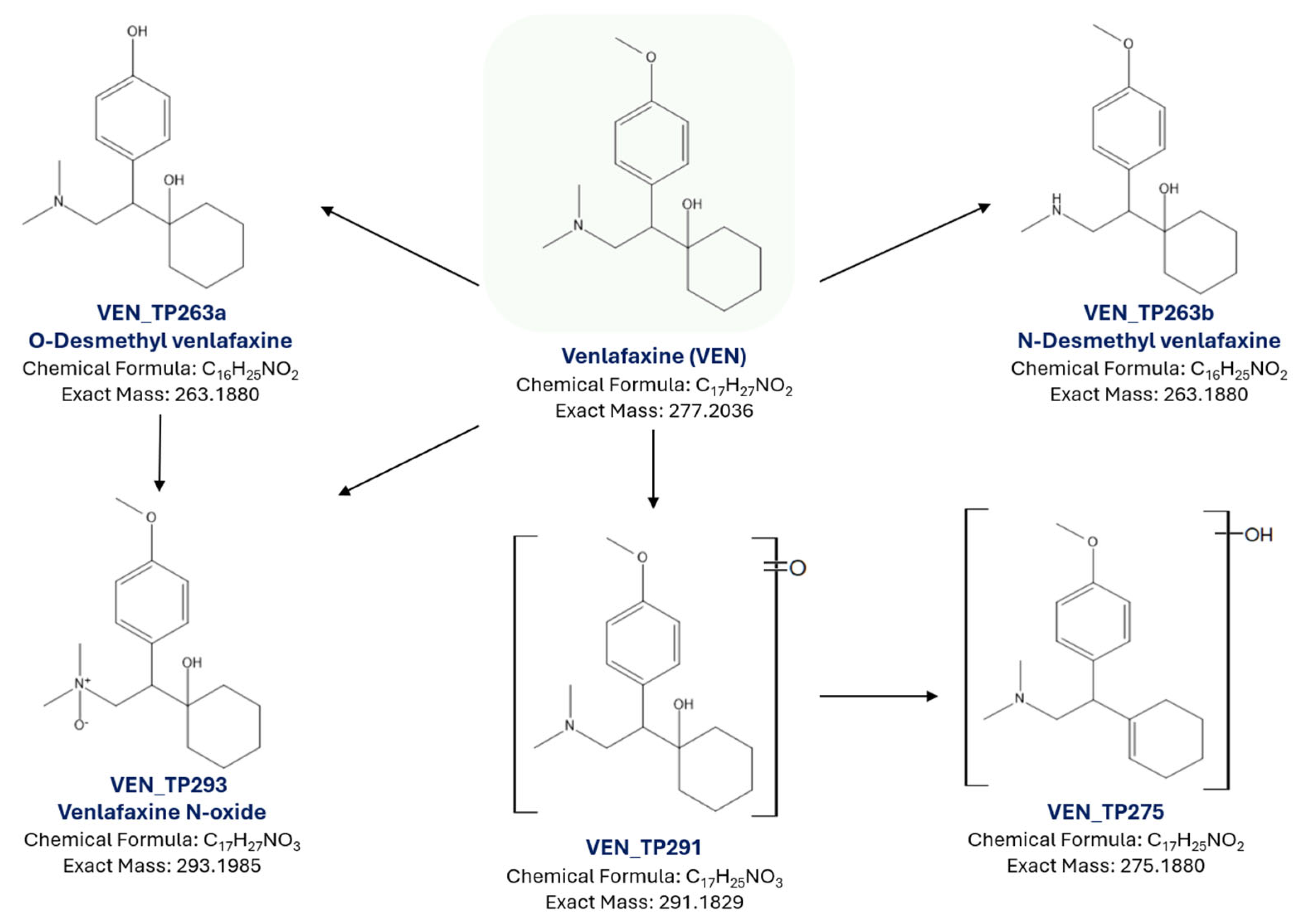 Molecules 30 03720 g009