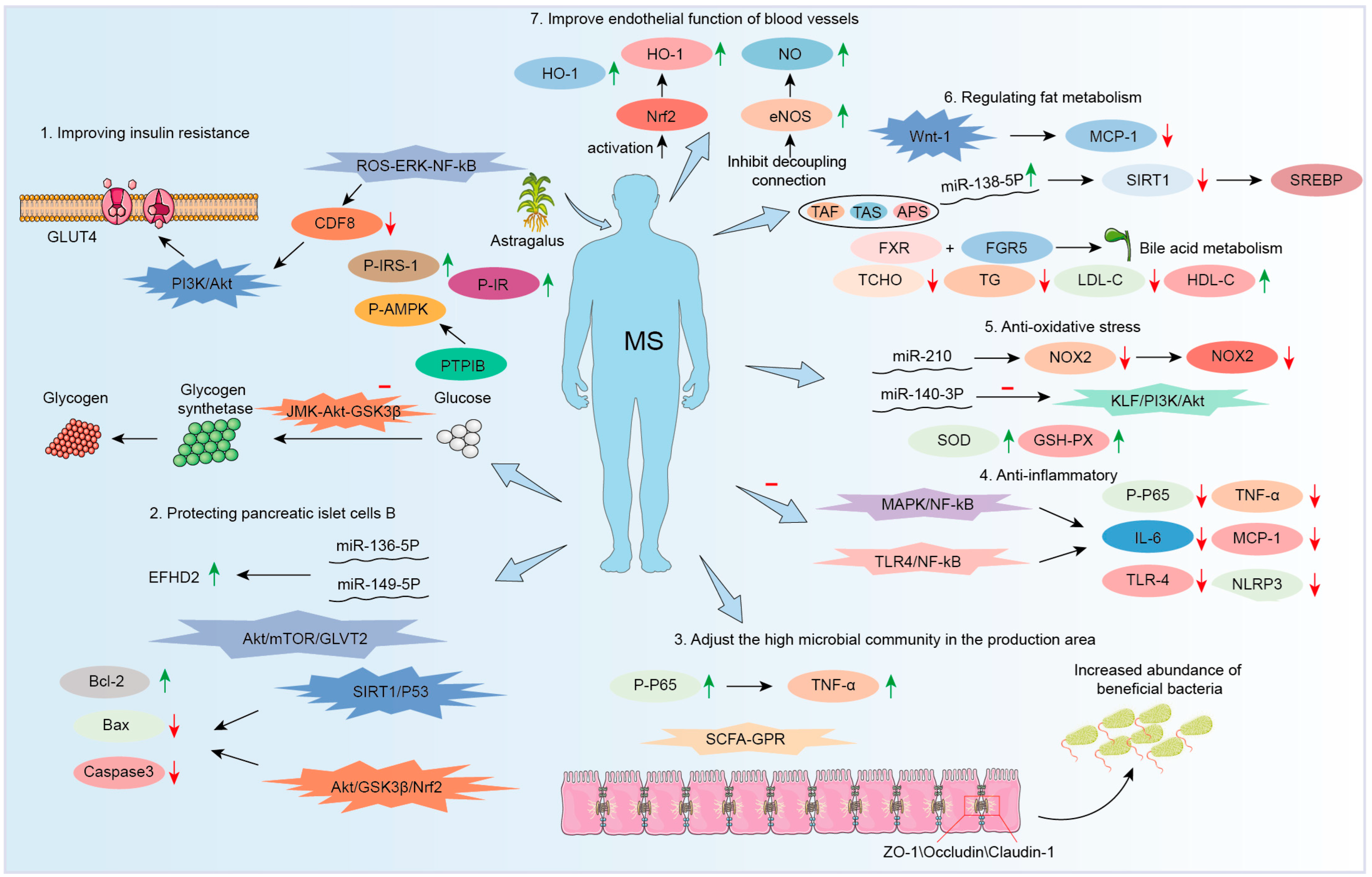 Molecules 30 03721 g008