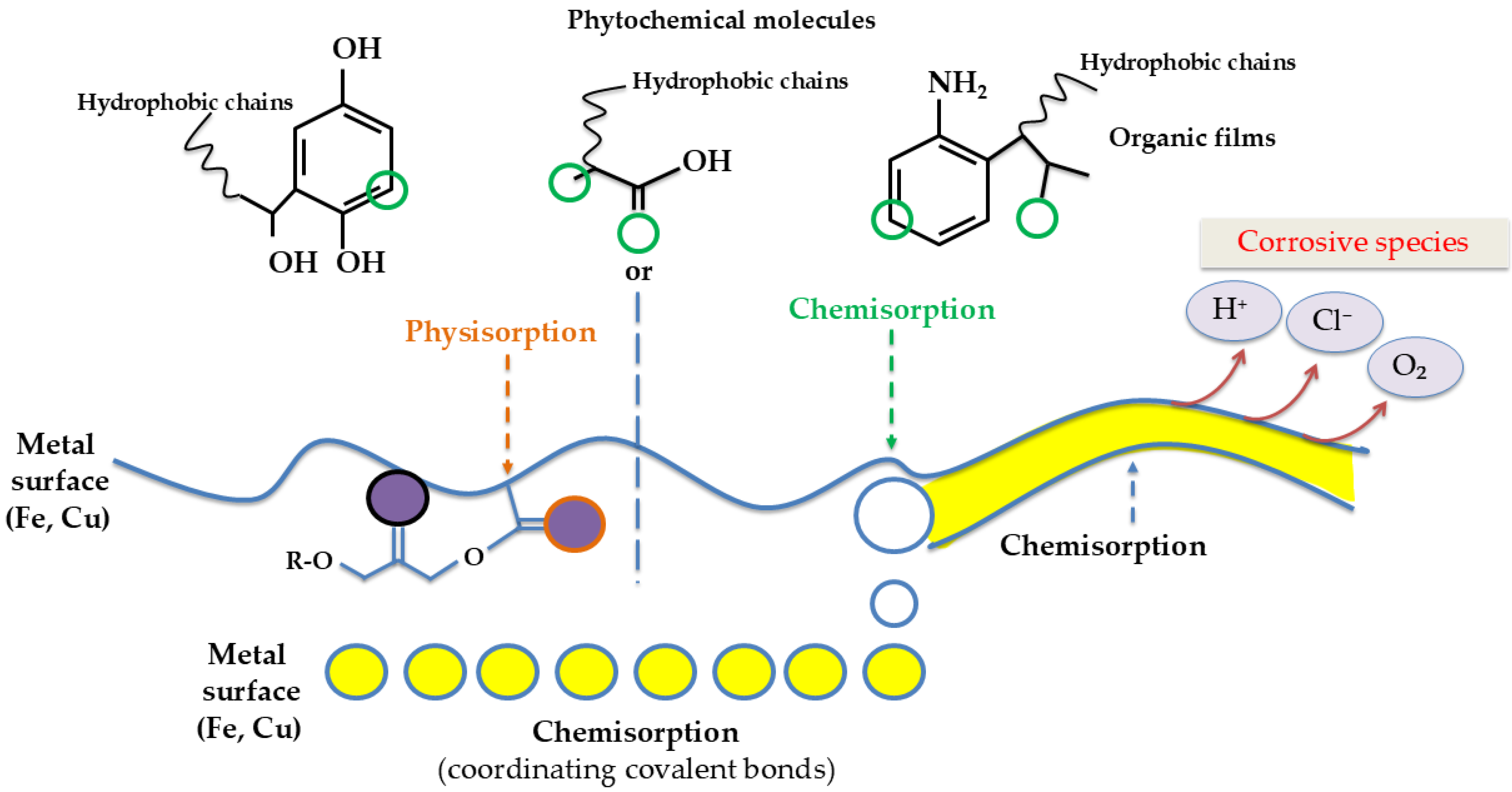 Molecules 30 03722 g003