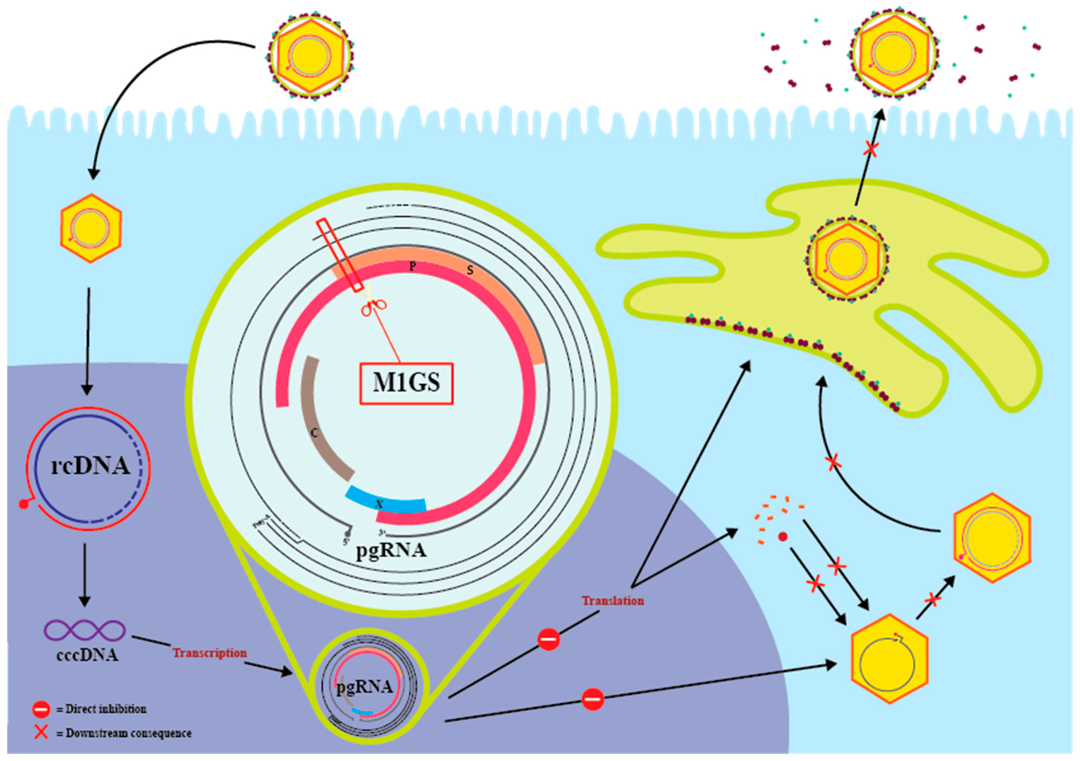 Molecules 30 03725 g001 Molecules 30 03725 g001