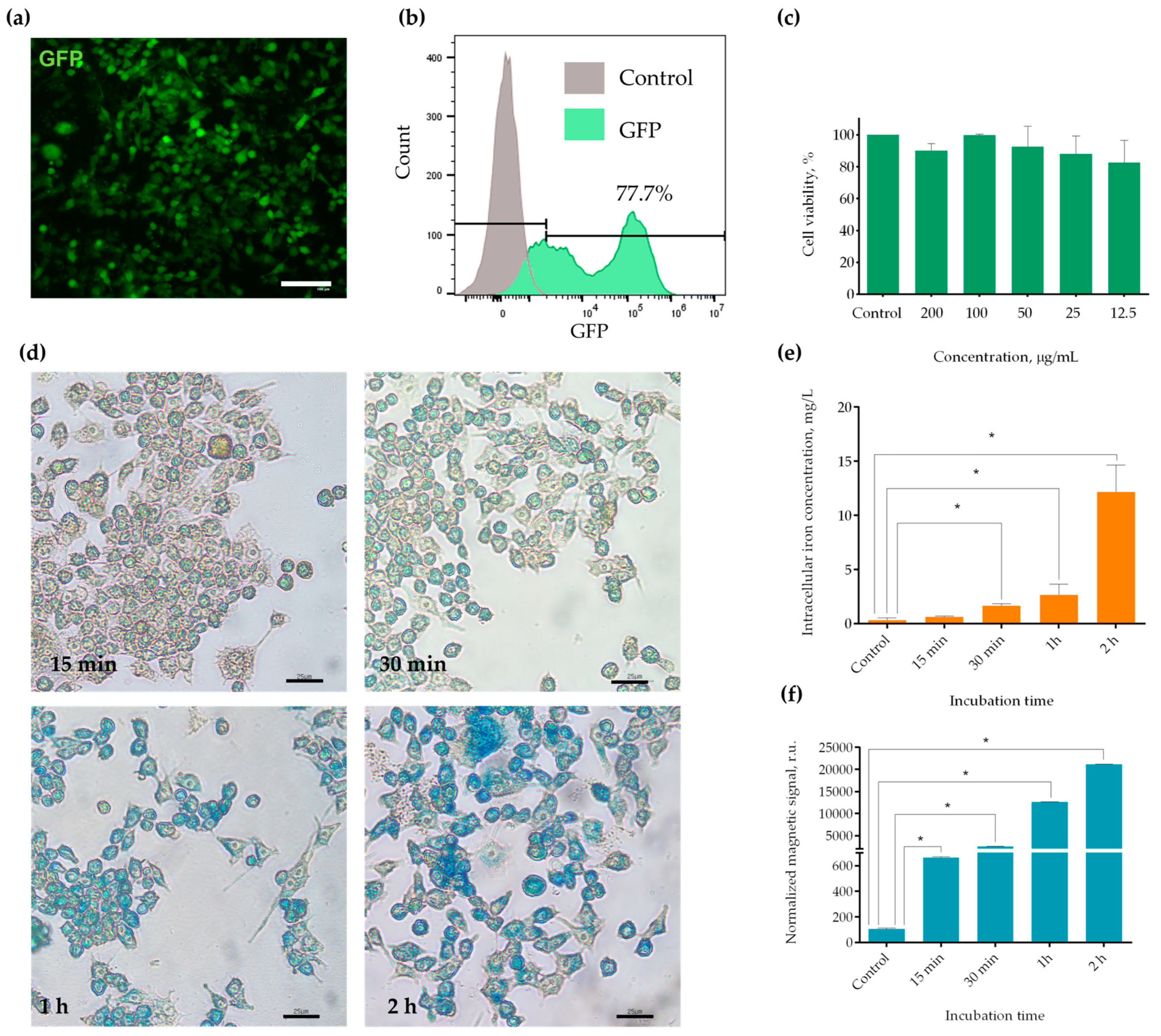 Molecules 30 03726 g001 Molecules 30 03726 g001