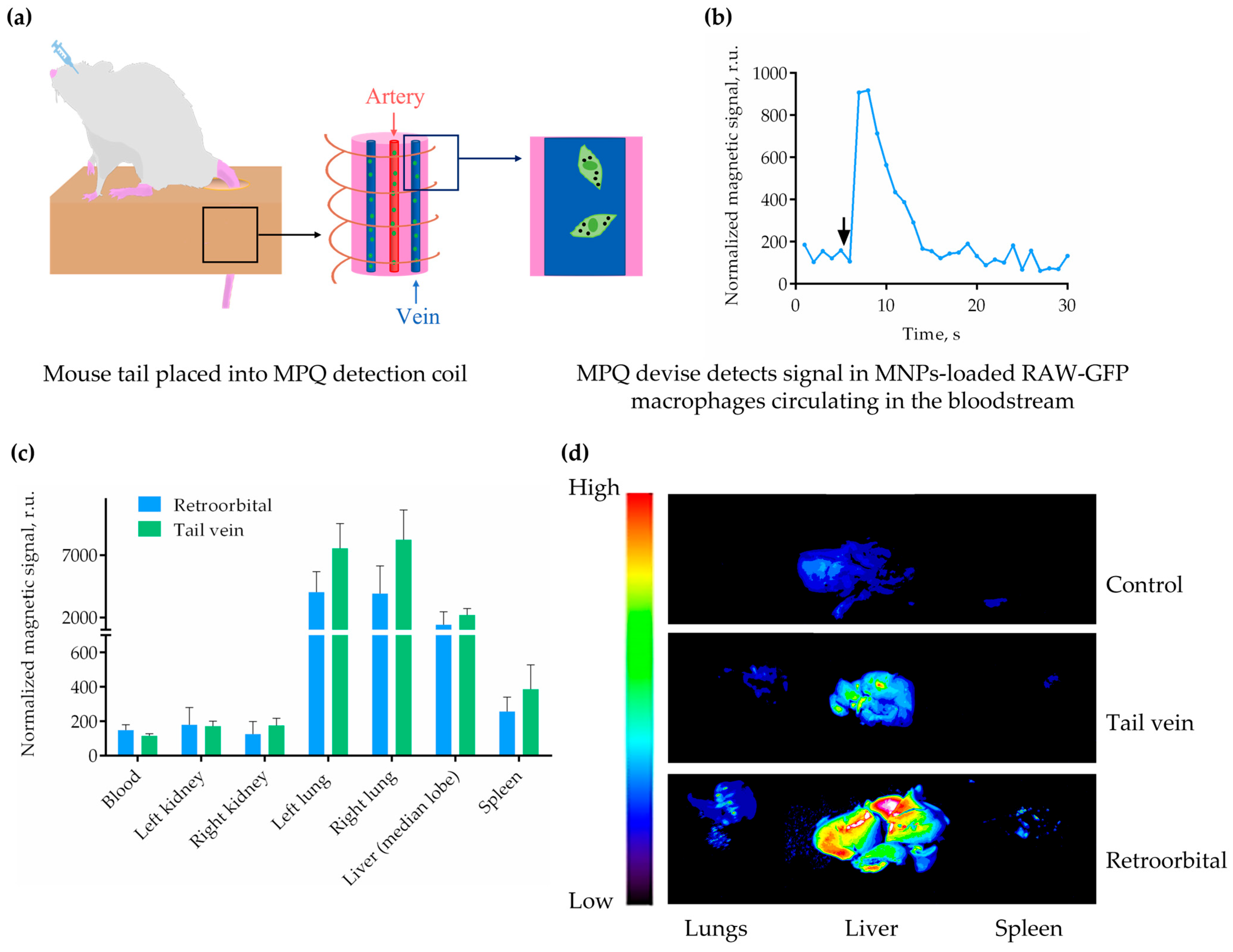 Molecules 30 03726 g002 Molecules 30 03726 g002
