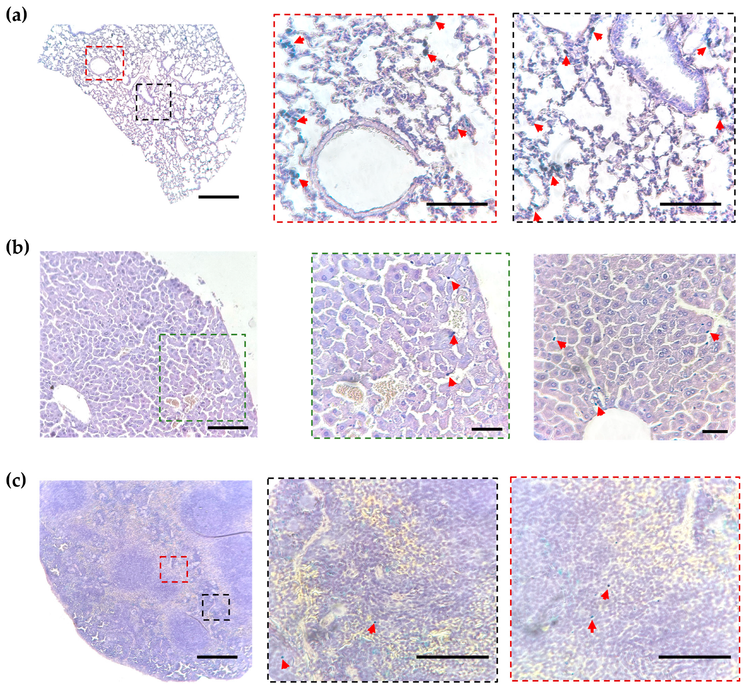 Molecules 30 03726 g003 Molecules 30 03726 g003