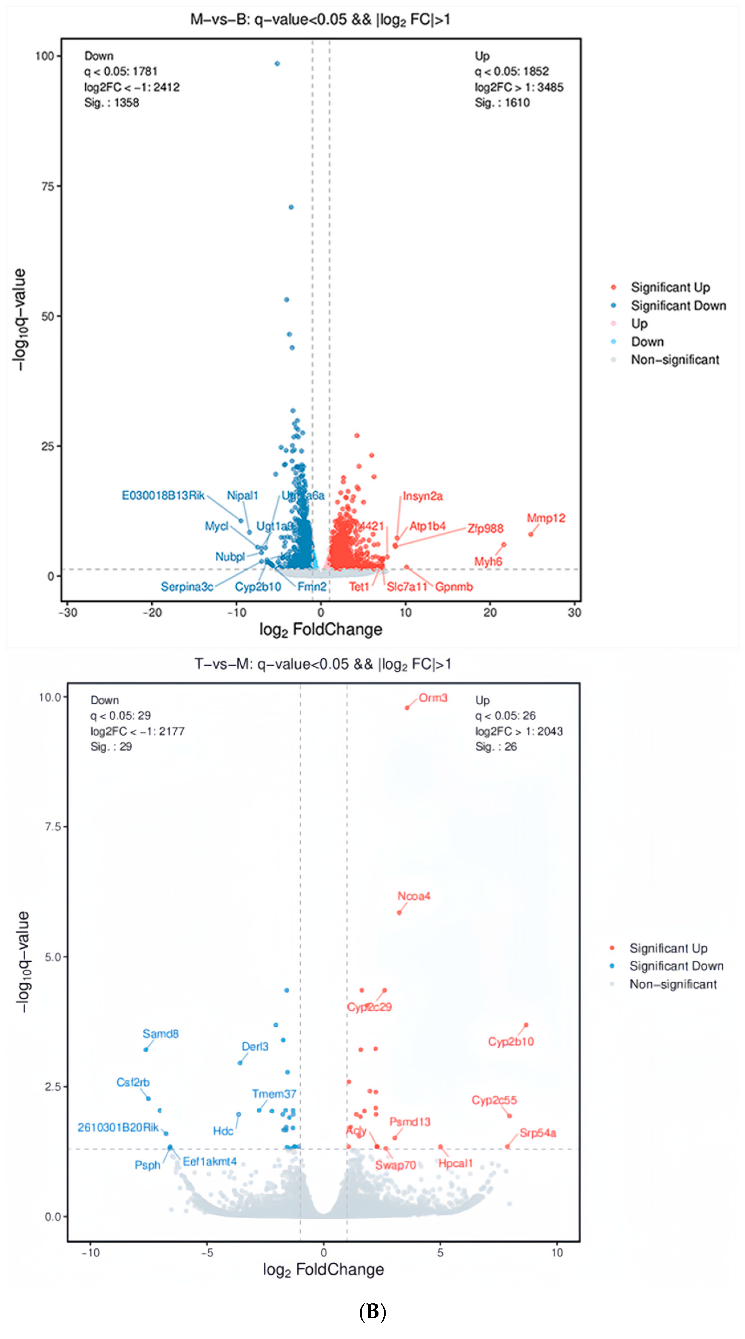 Molecules 30 03727 g003b