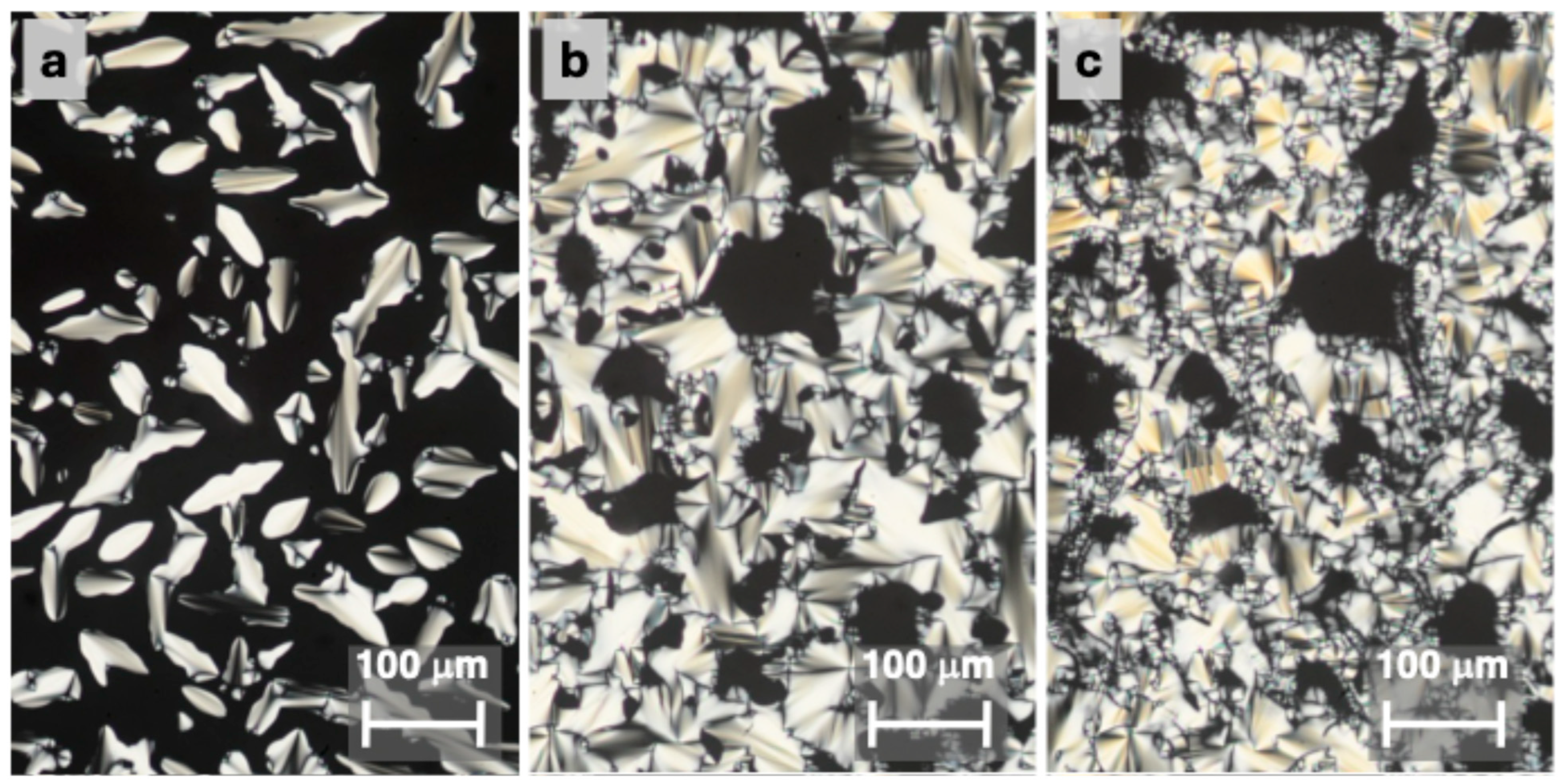 Molecules 30 03731 g006