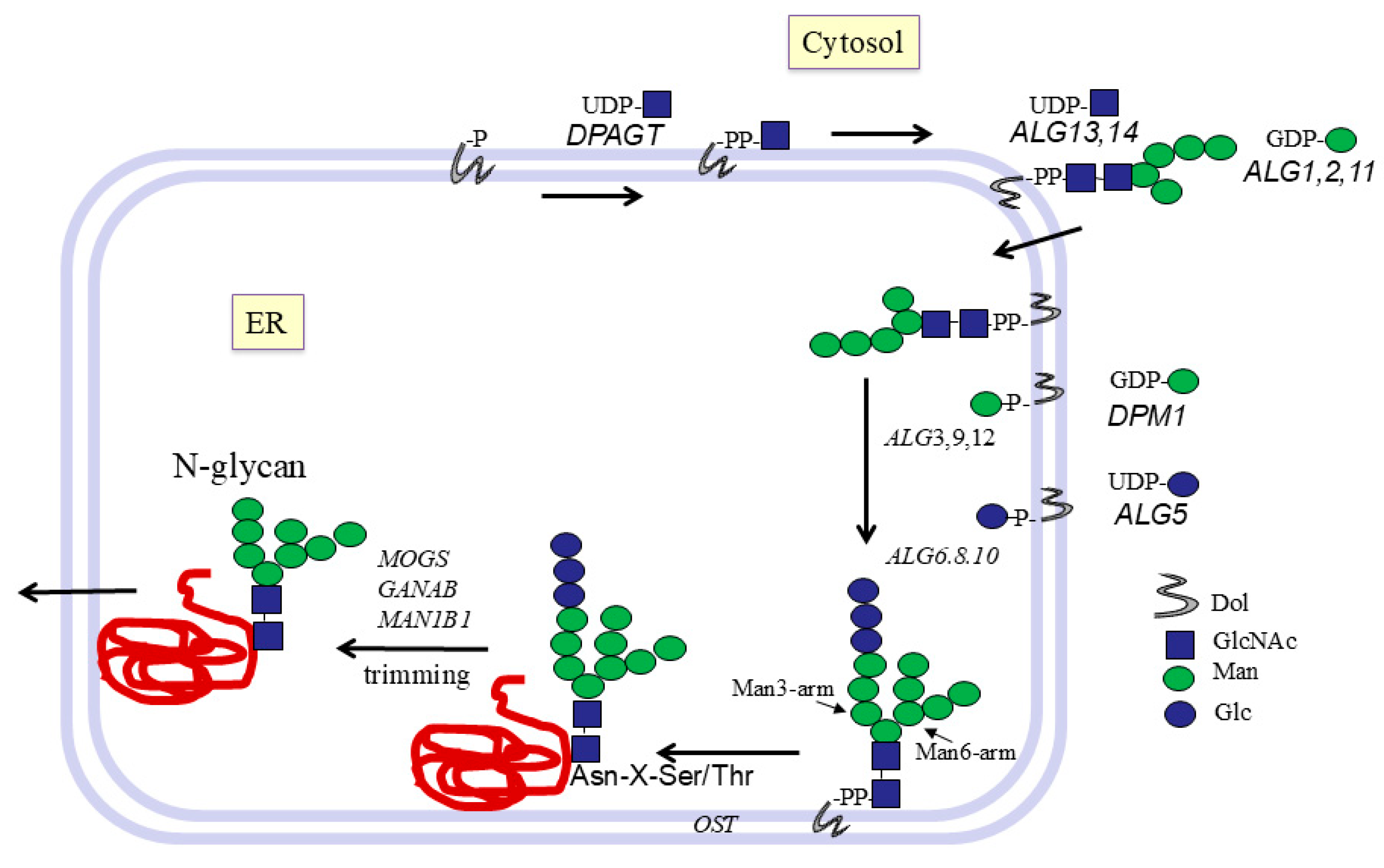 Molecules 30 03735 g001 Molecules 30 03735 g001
