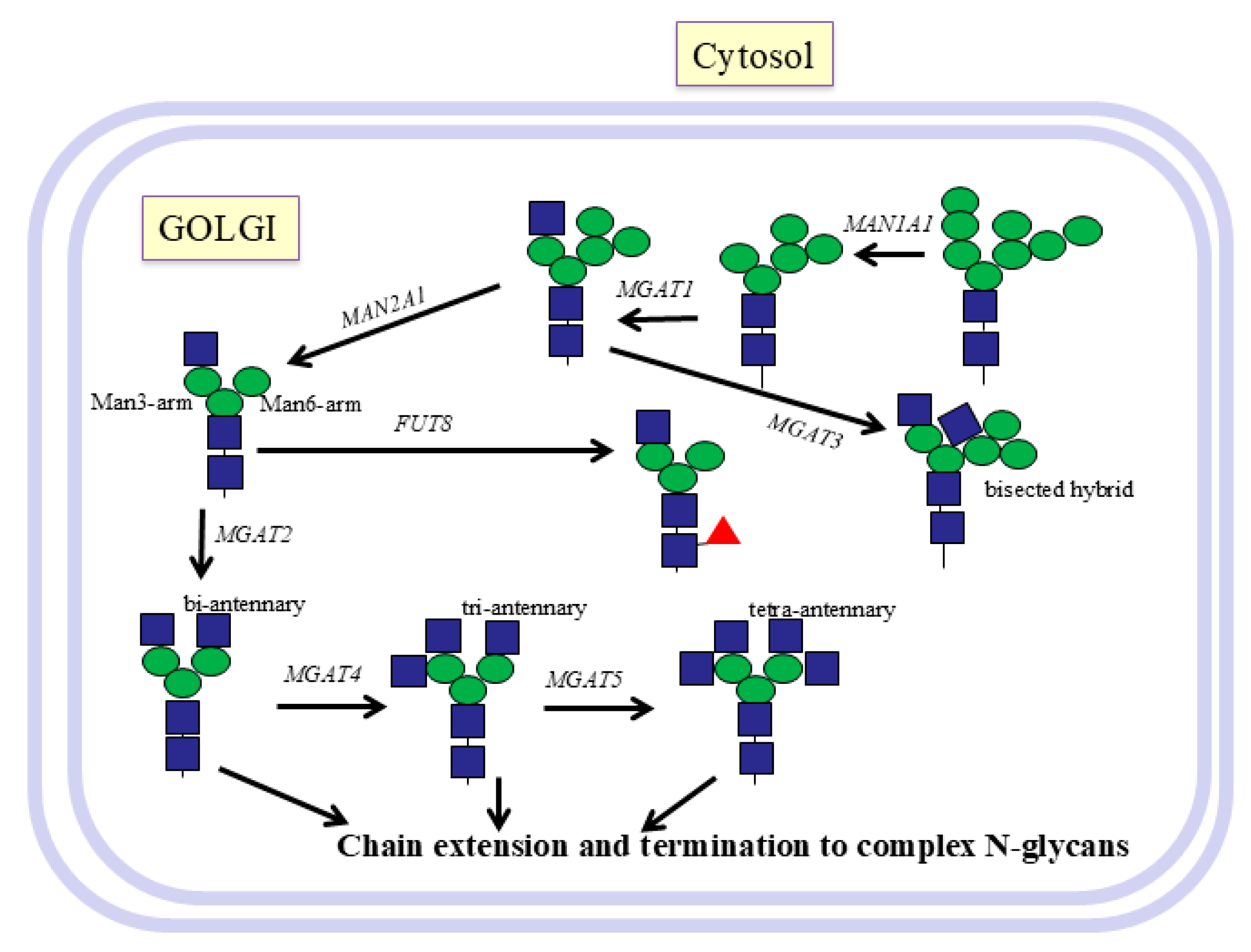 Molecules 30 03735 g002 Molecules 30 03735 g002