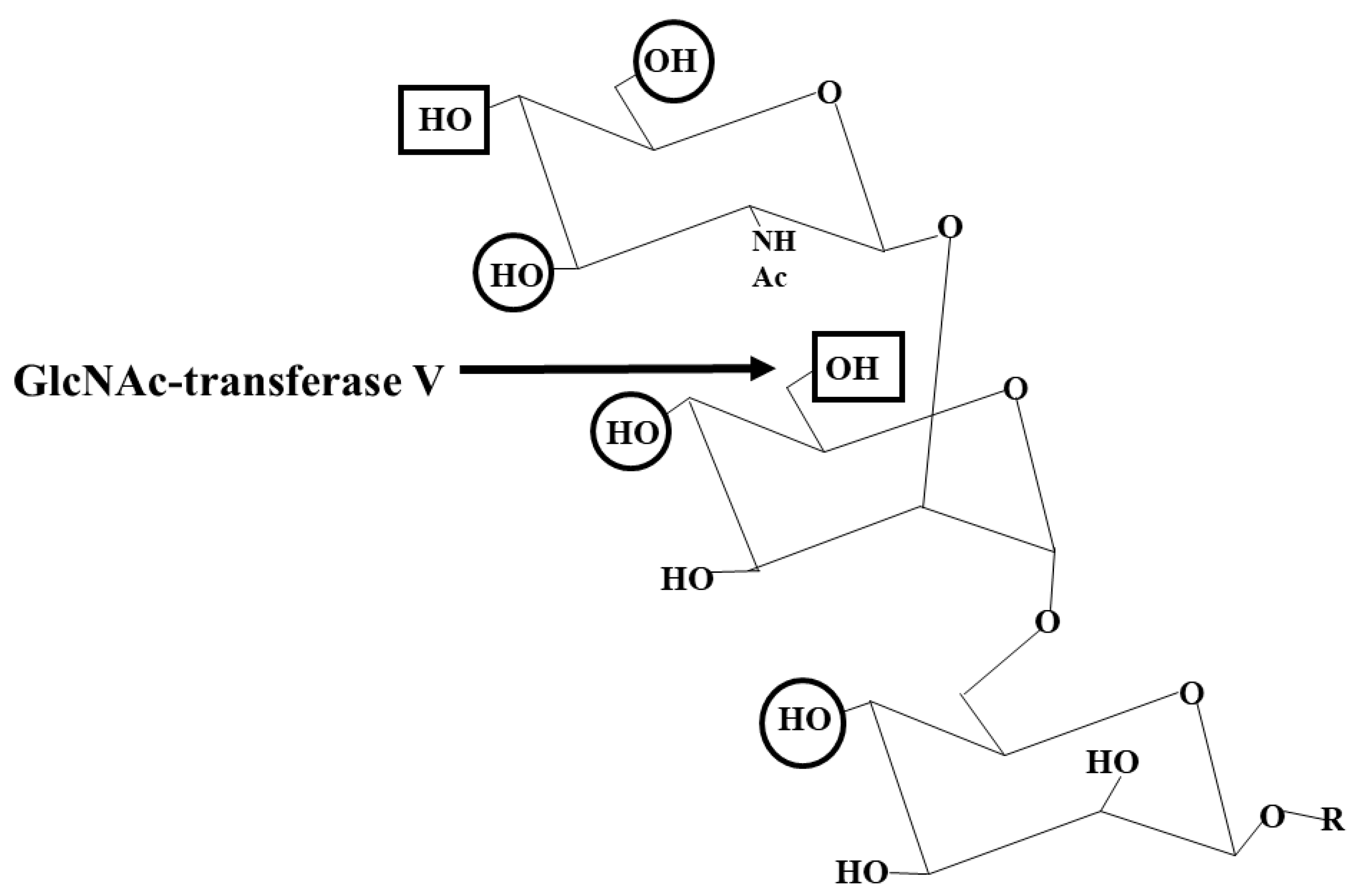 Molecules 30 03735 g003 Molecules 30 03735 g003