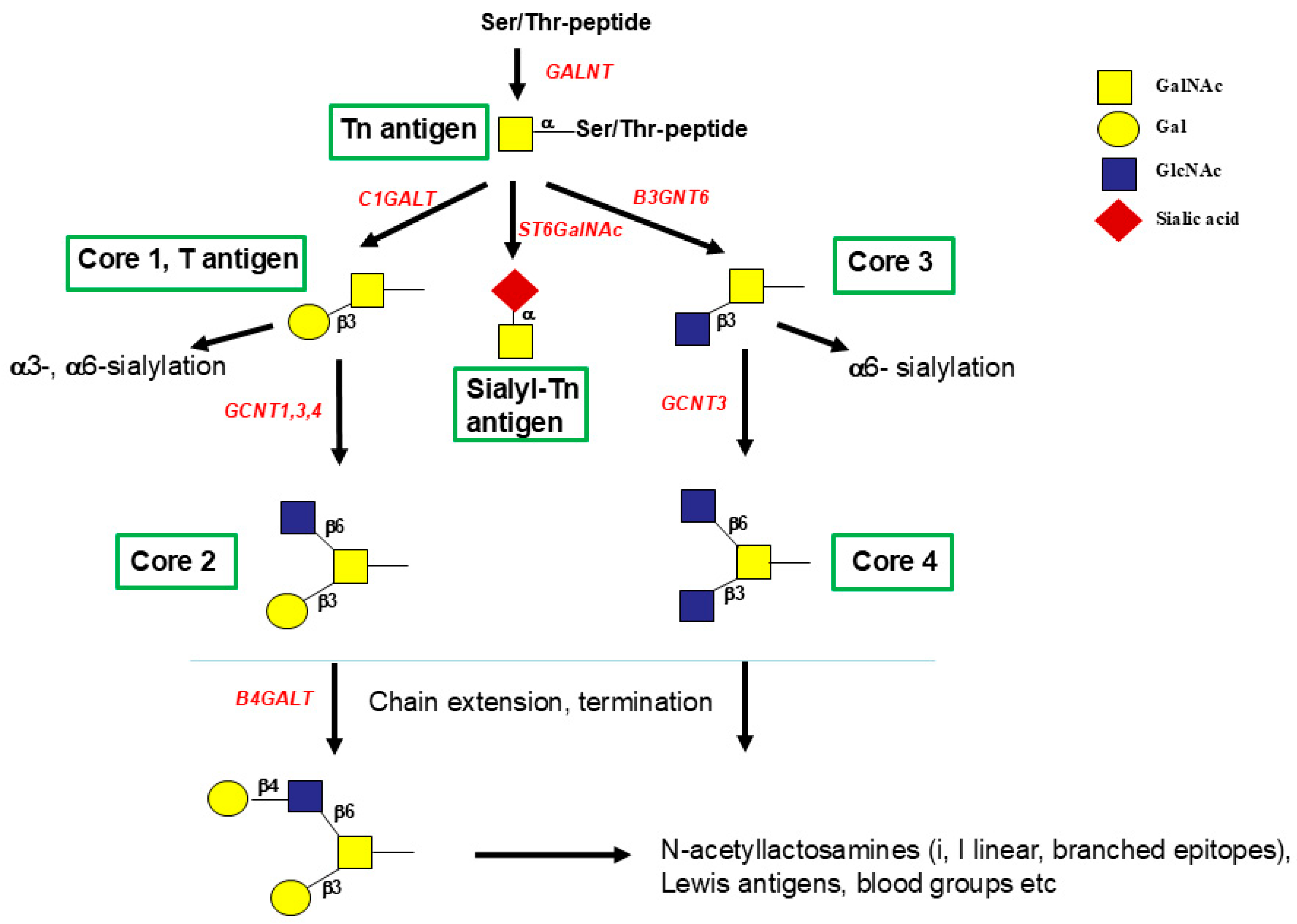 Molecules 30 03735 g004 Molecules 30 03735 g004