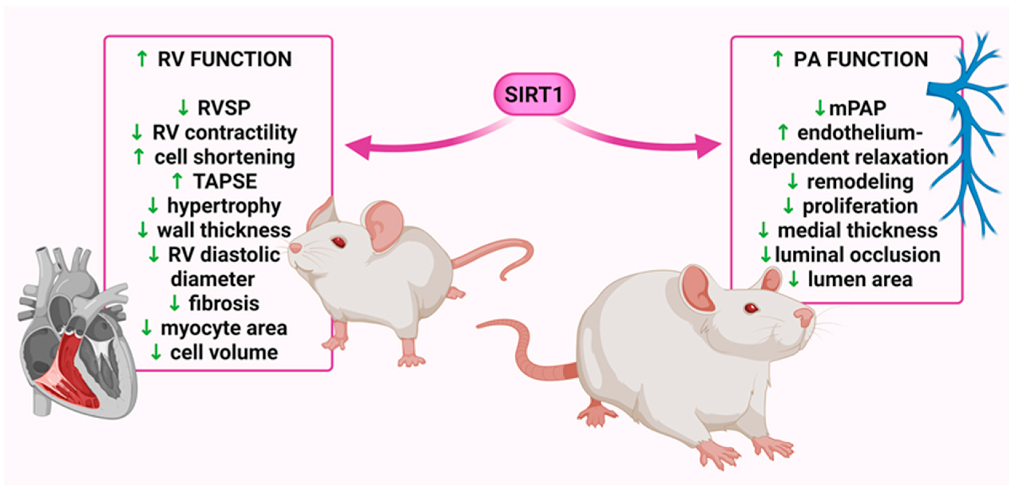 Molecules 30 03740 g003 Molecules 30 03740 g003