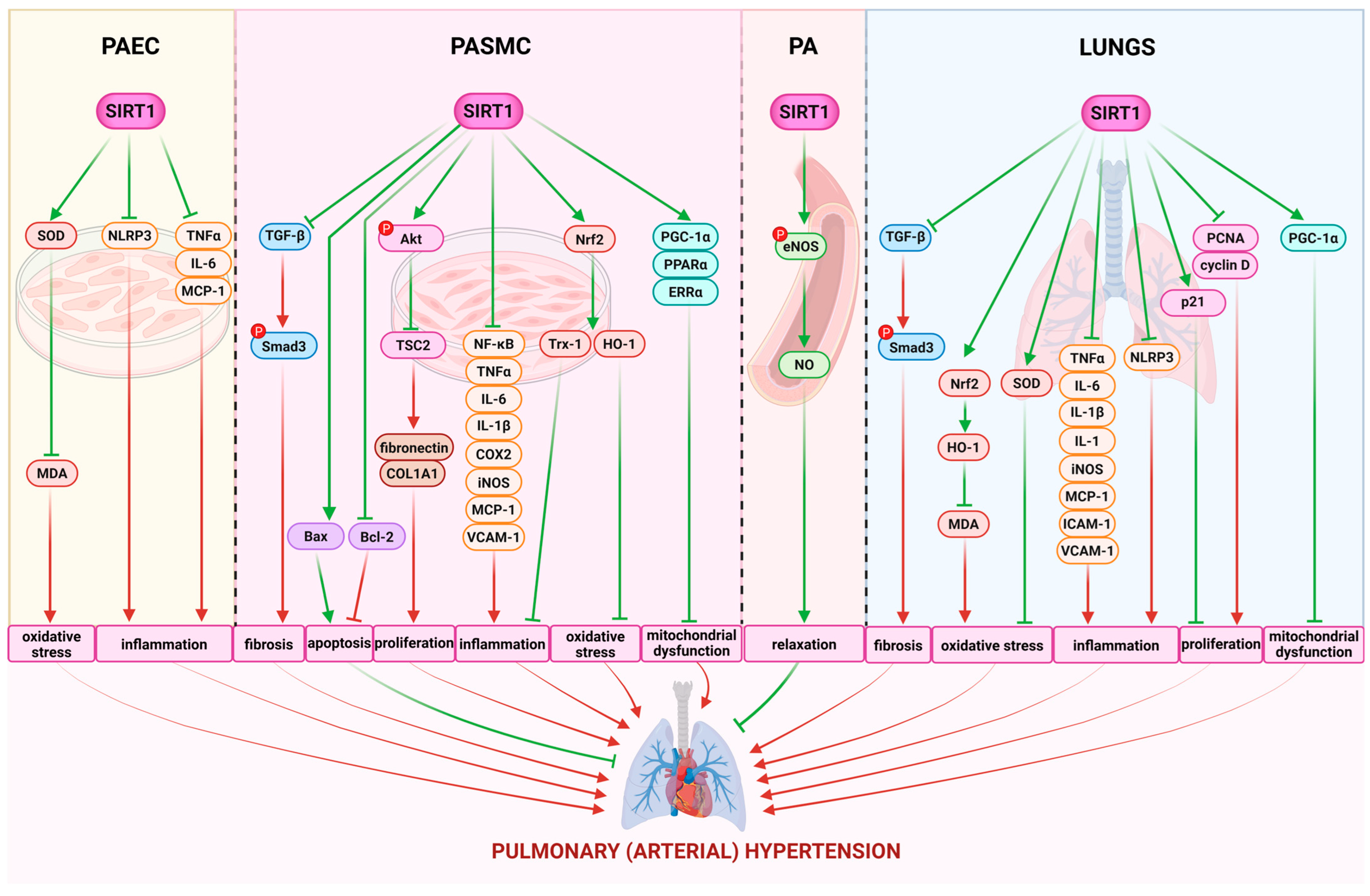 Molecules 30 03740 g004 Molecules 30 03740 g004
