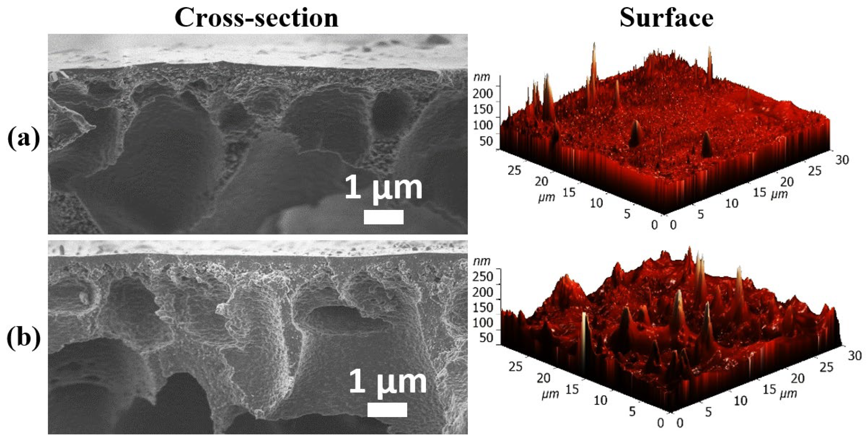 Molecules 30 03751 g002 Molecules 30 03751 g002