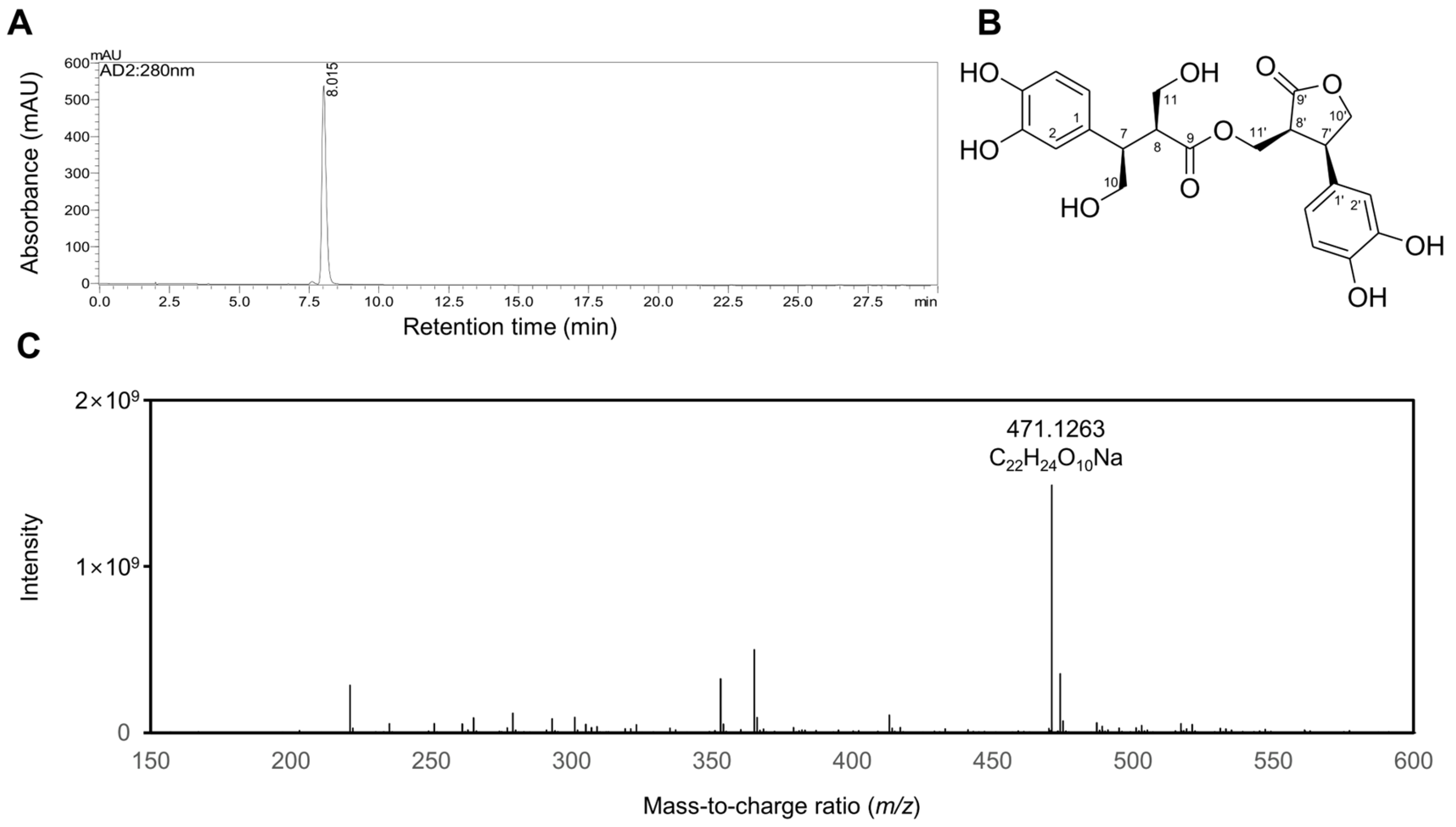Molecules 30 03752 g001 Molecules 30 03752 g001