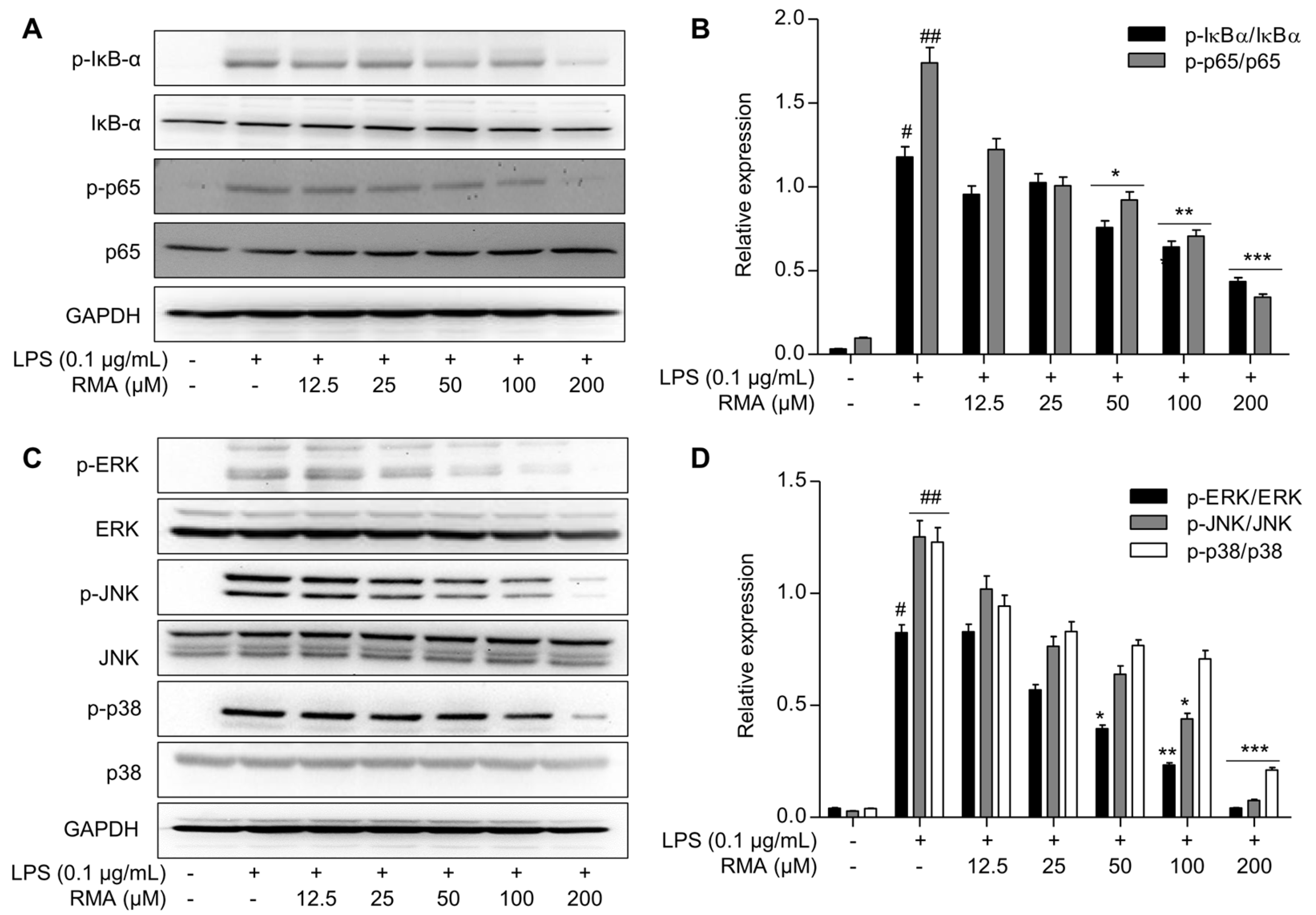 Molecules 30 03752 g003 Molecules 30 03752 g003