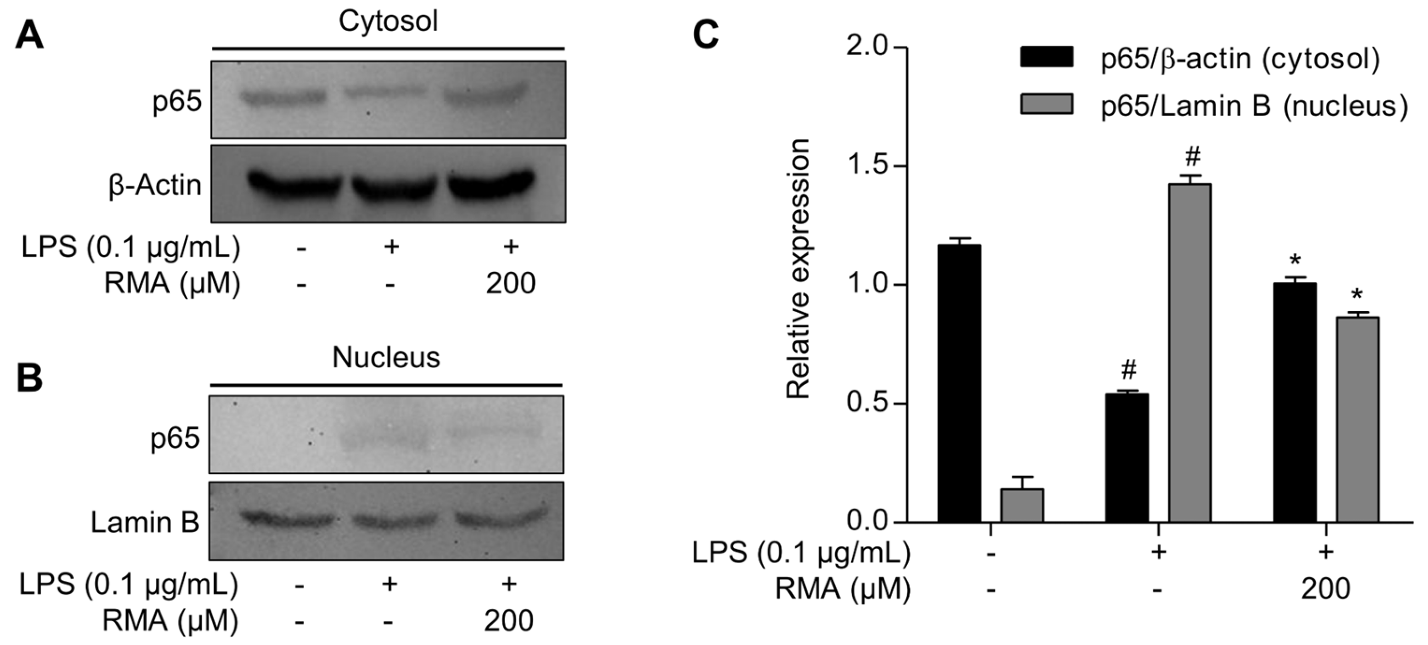 Molecules 30 03752 g004 Molecules 30 03752 g004