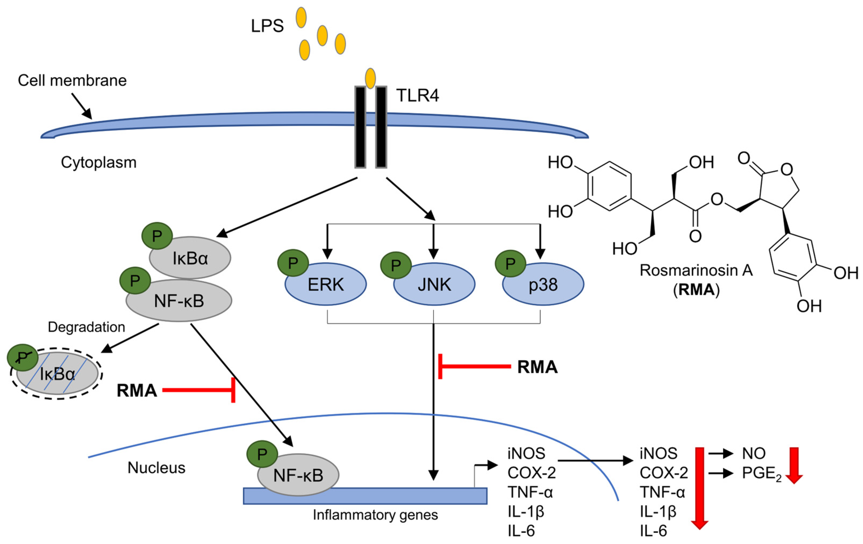 Molecules 30 03752 g005 Molecules 30 03752 g005