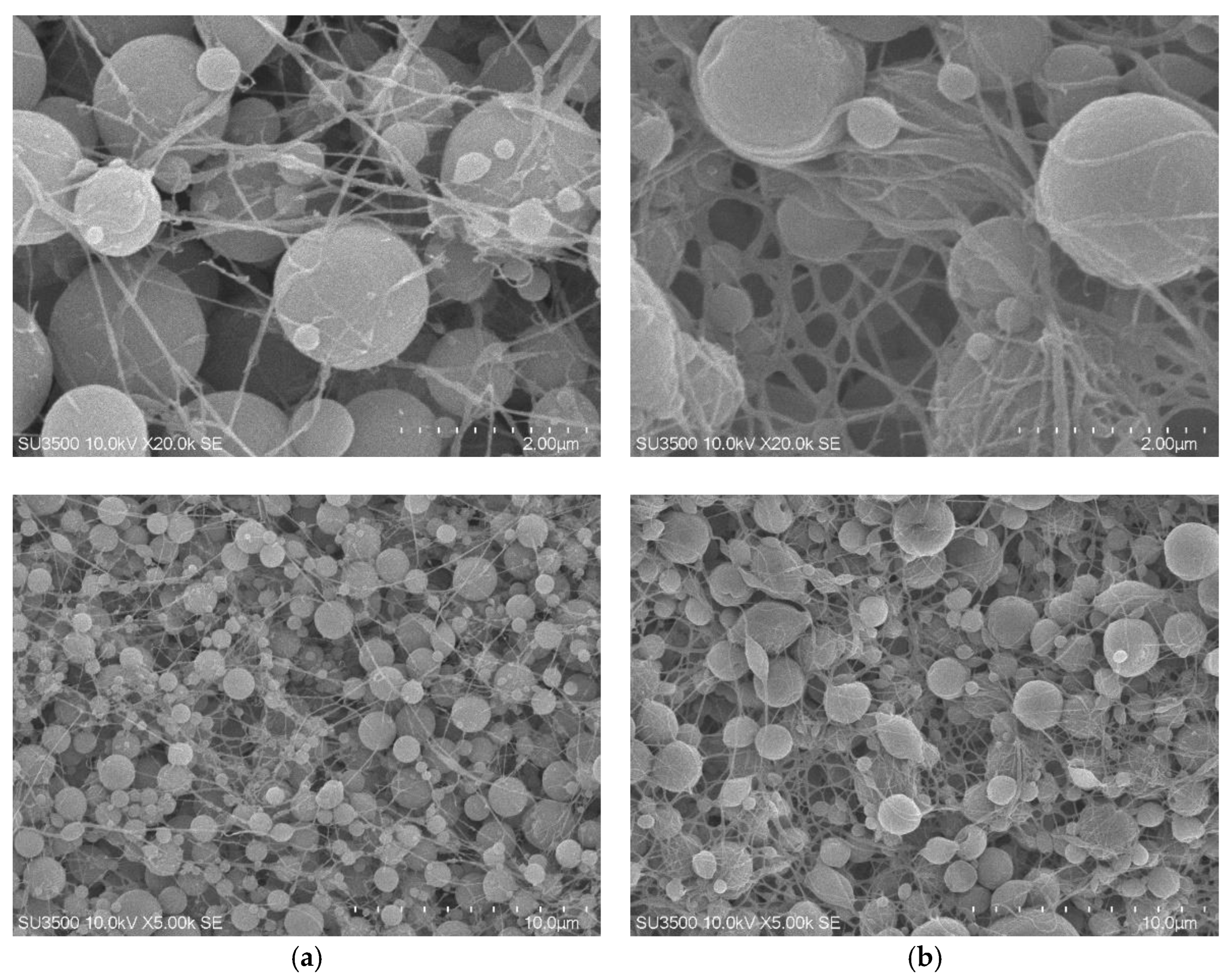 Molecules 30 03754 g006