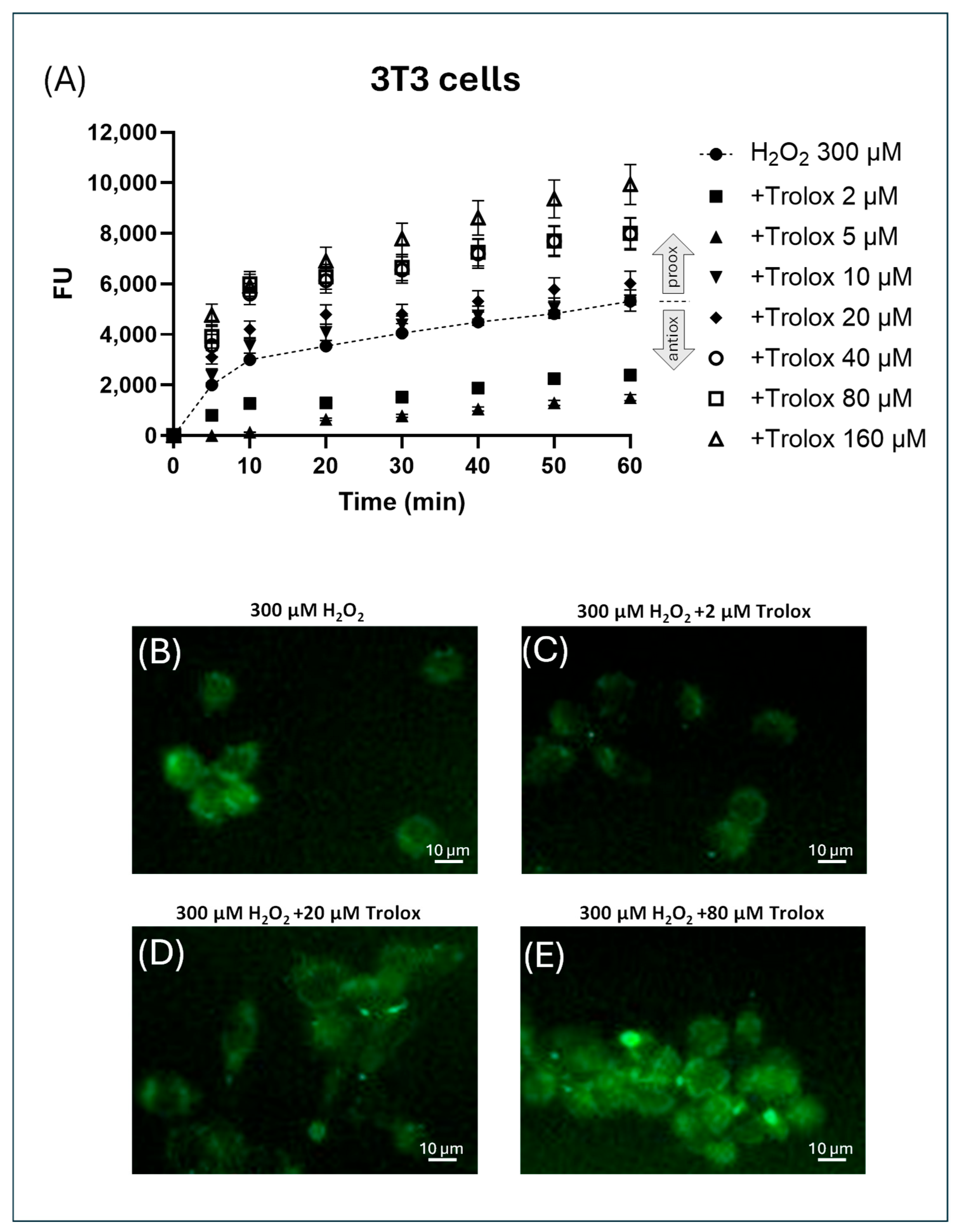 Molecules 30 03755 g005