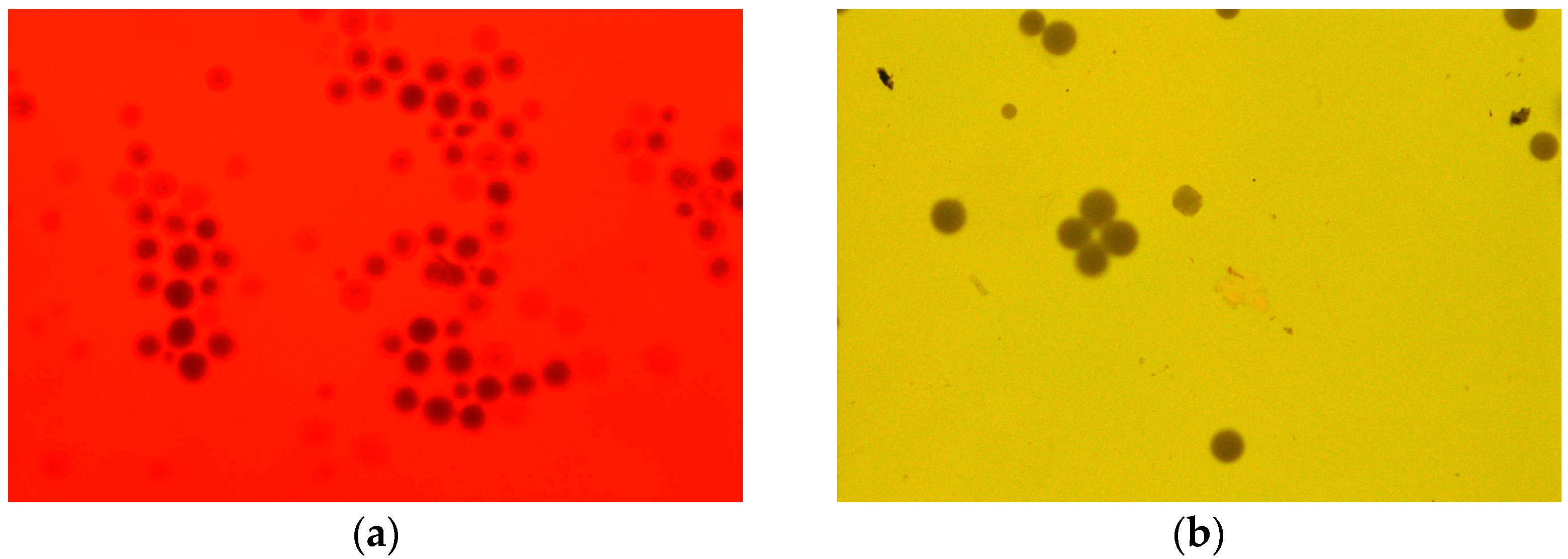 Molecules 30 03756 g001