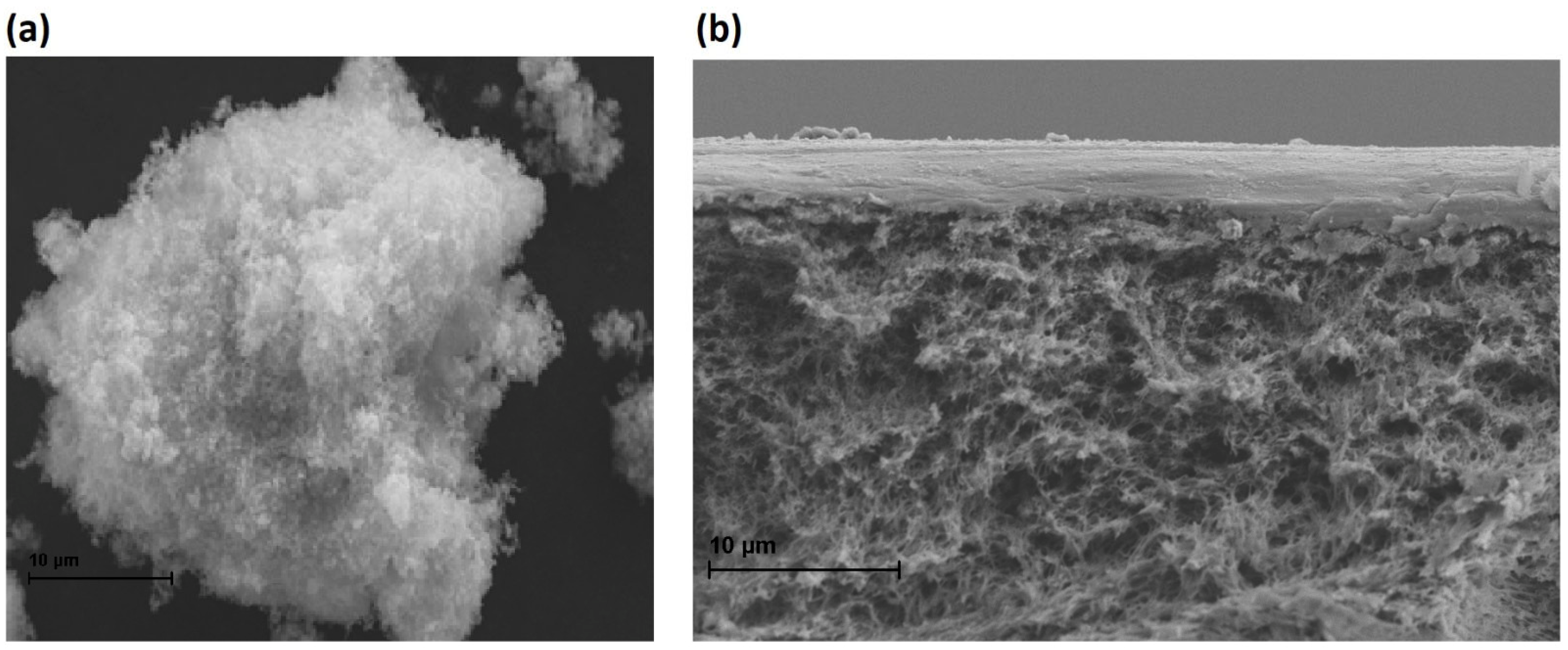 Molecules 30 03759 g004