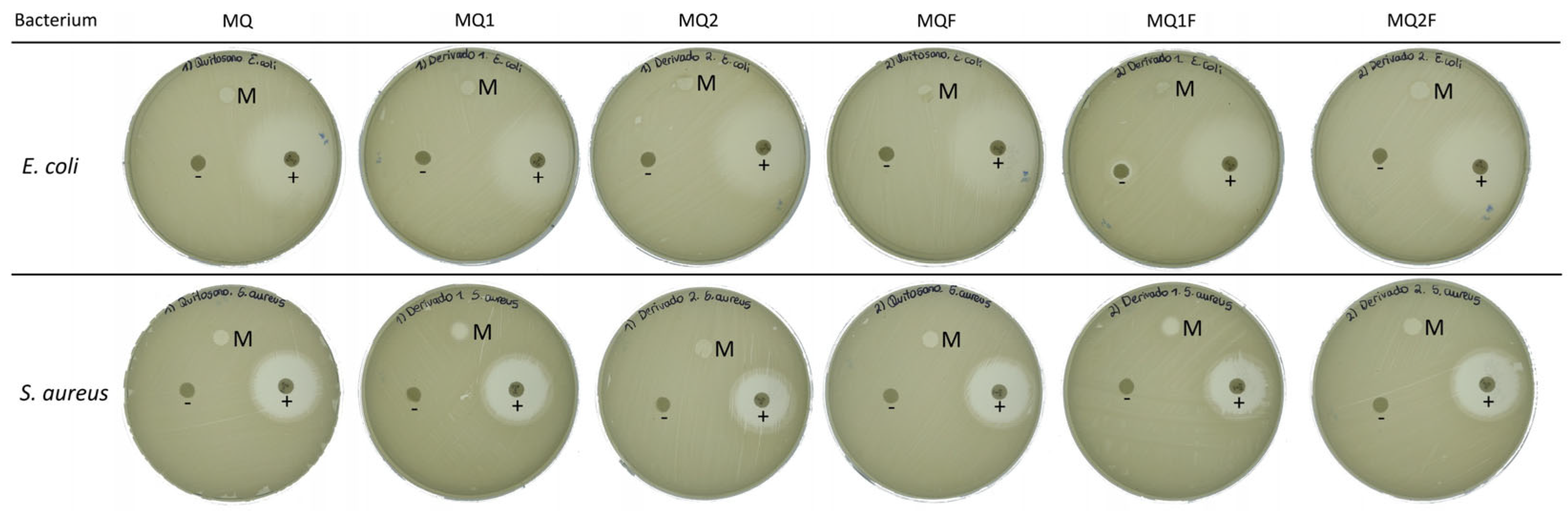 Molecules 30 03759 g006
