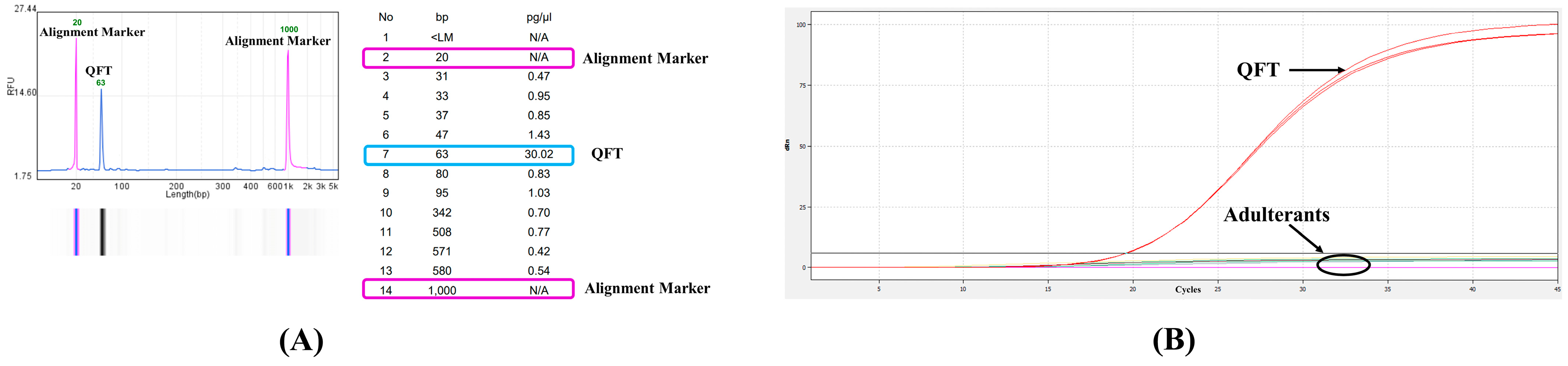 Molecules 30 03763 g003 Molecules 30 03763 g003