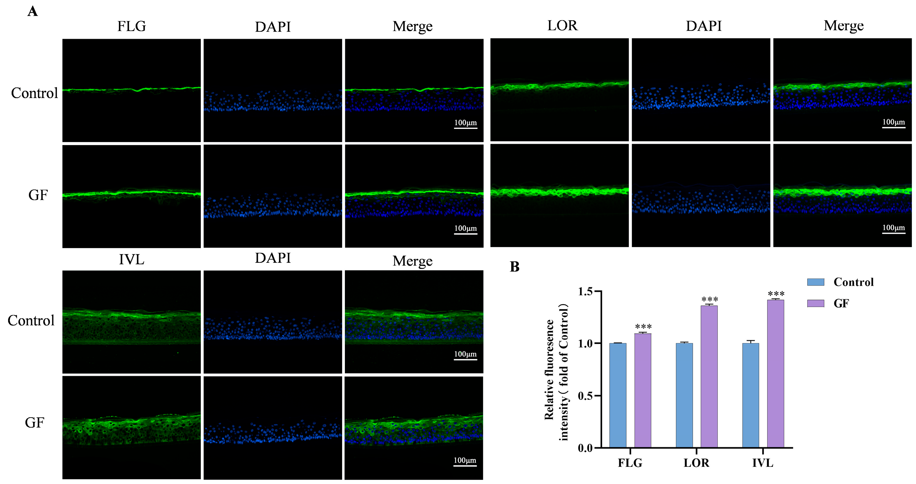 Molecules 30 03764 g008