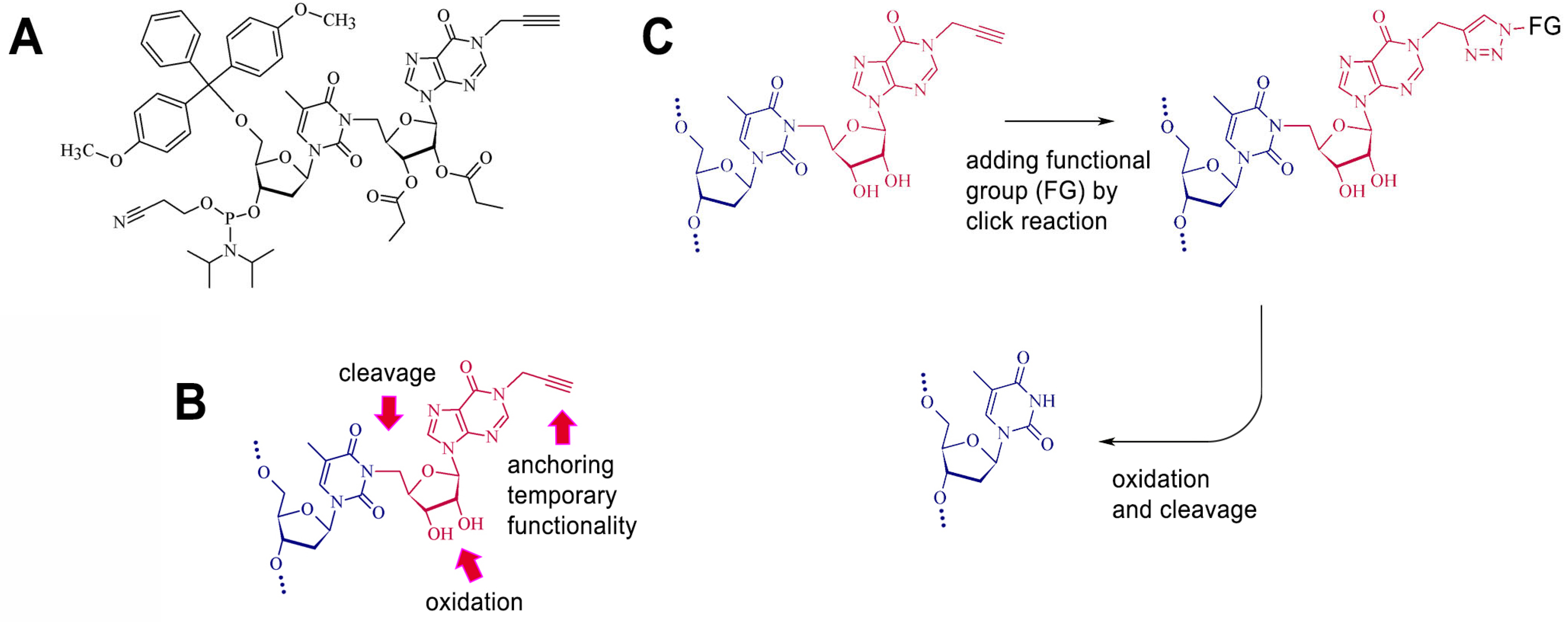 Molecules 30 03769 g001