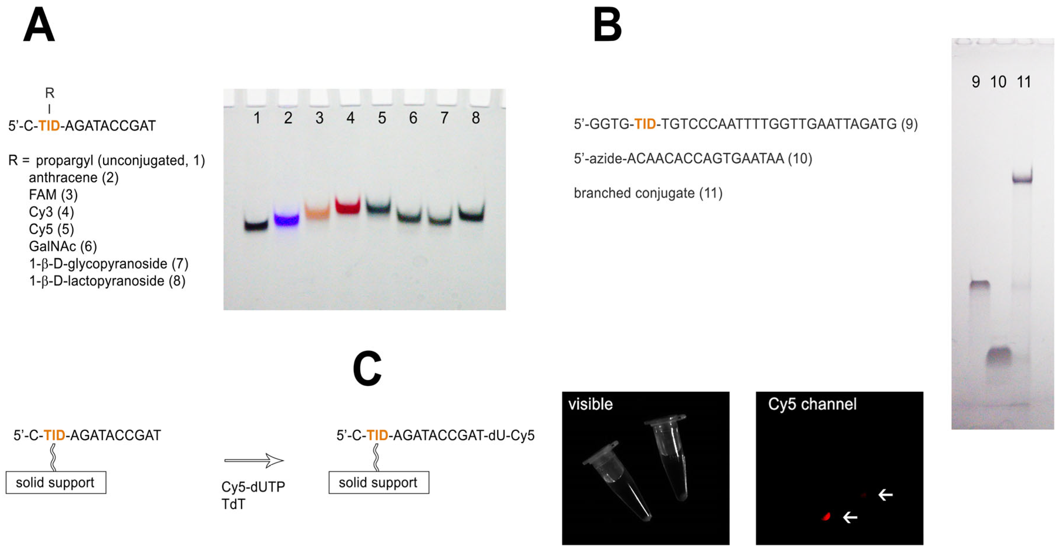 Molecules 30 03769 g003